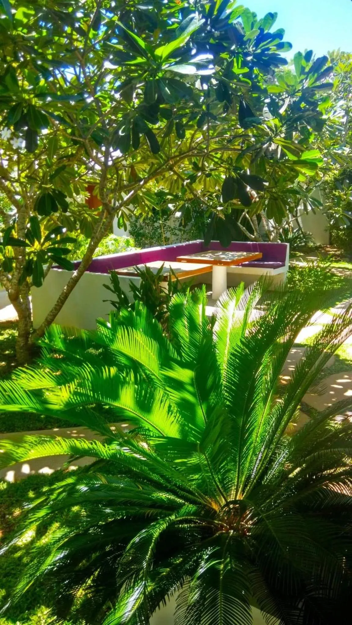 Garden in Villa Kalachuchi V.K