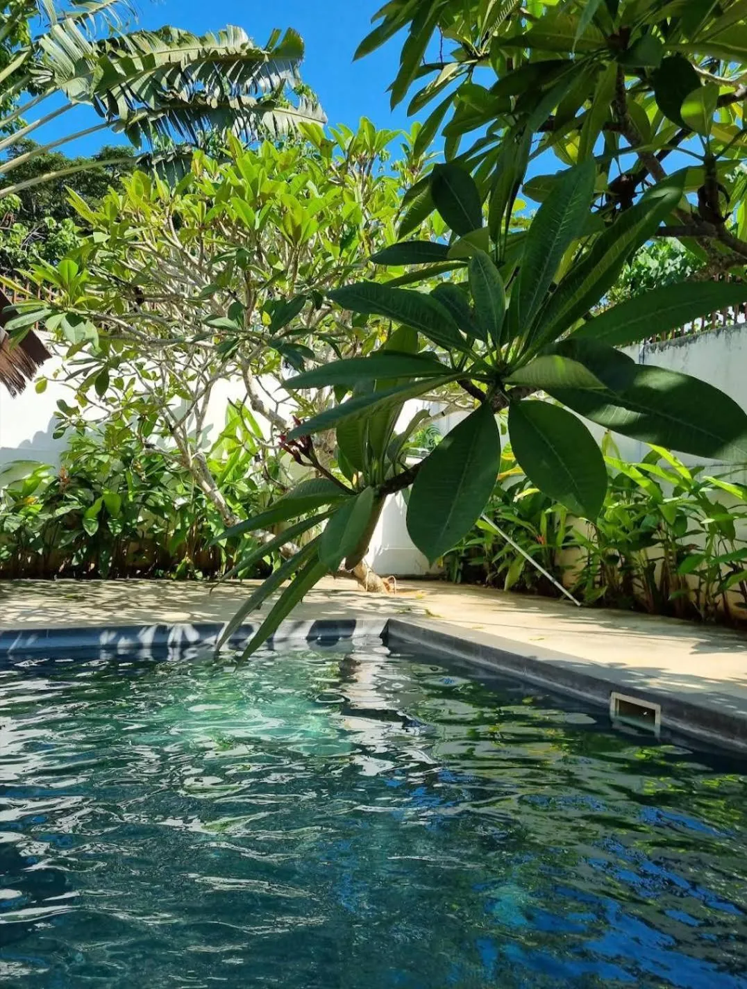 Pool view in Villa Kalachuchi V.K
