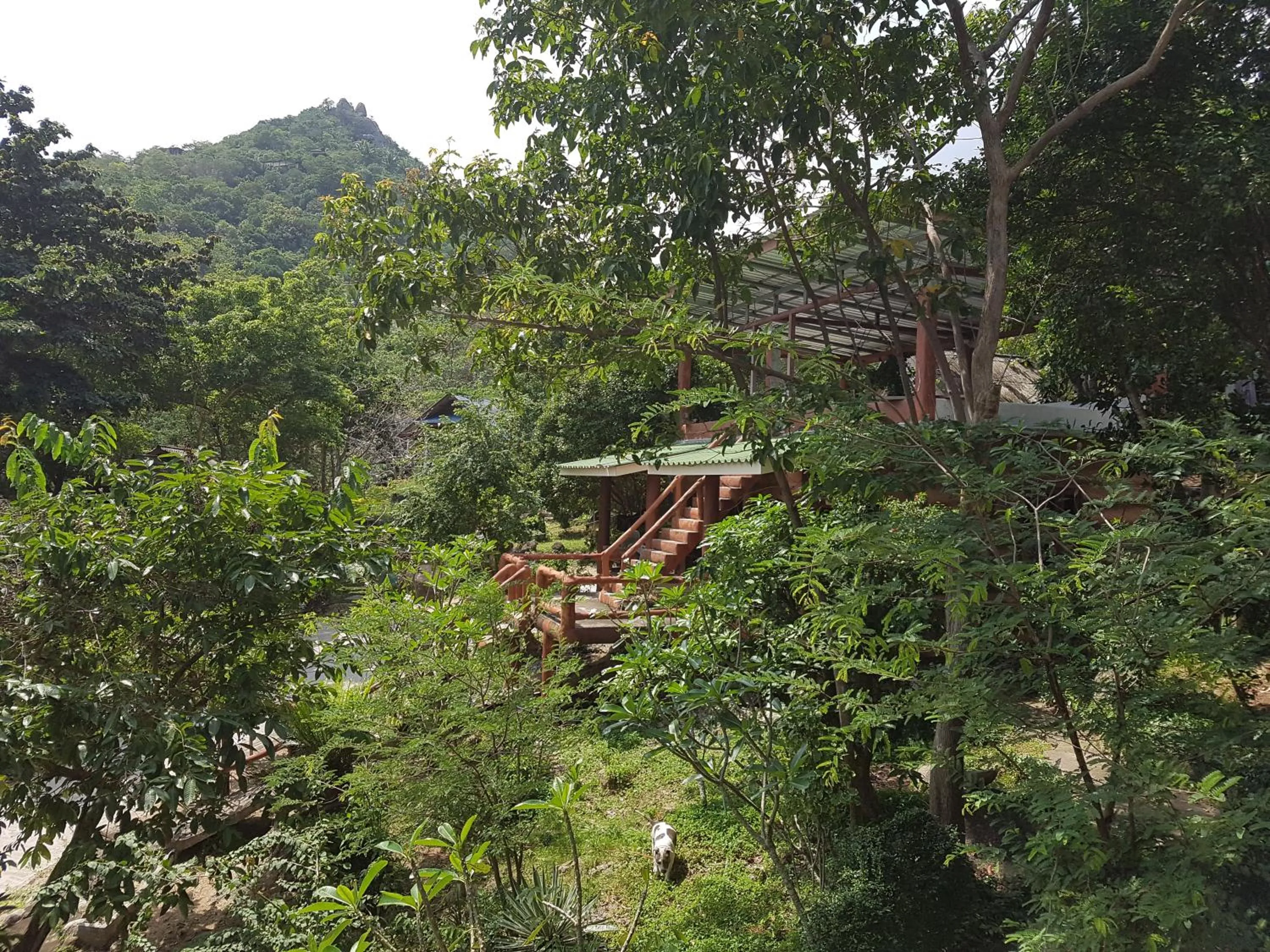 Mountain view in Poseidon Resort