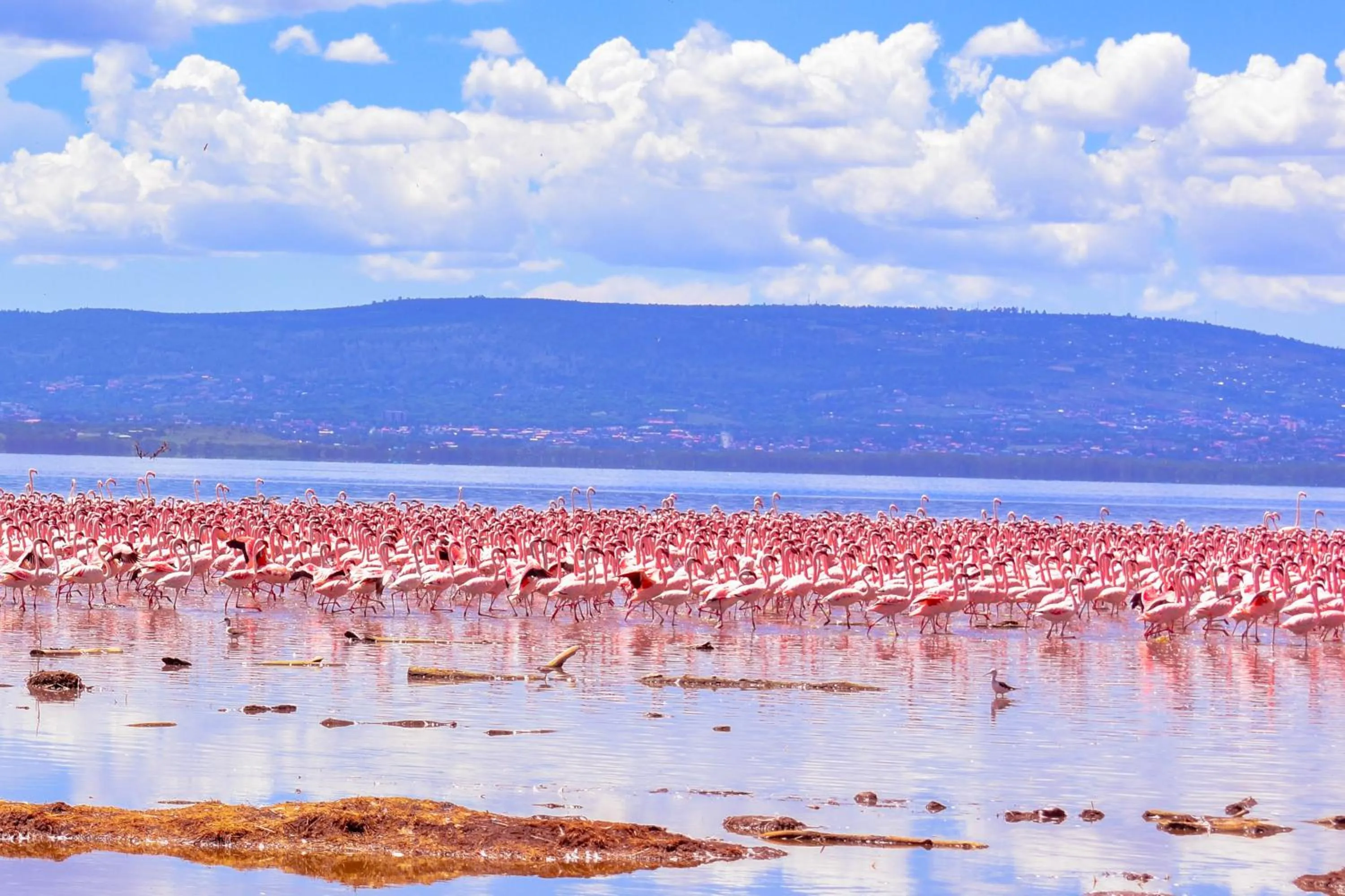 Sea view in Lake Nakuru Lodge