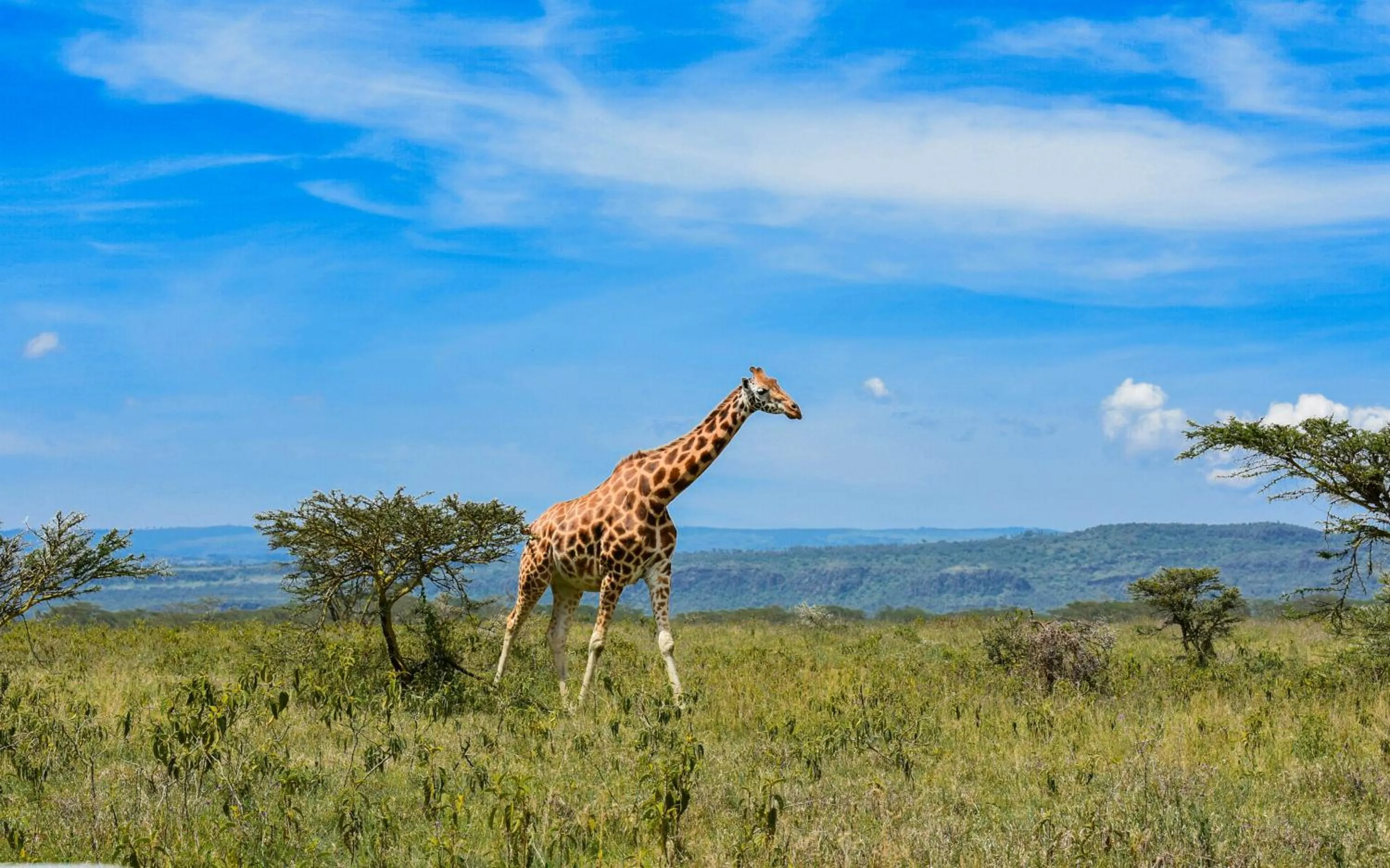 Natural landscape in Lake Nakuru Lodge
