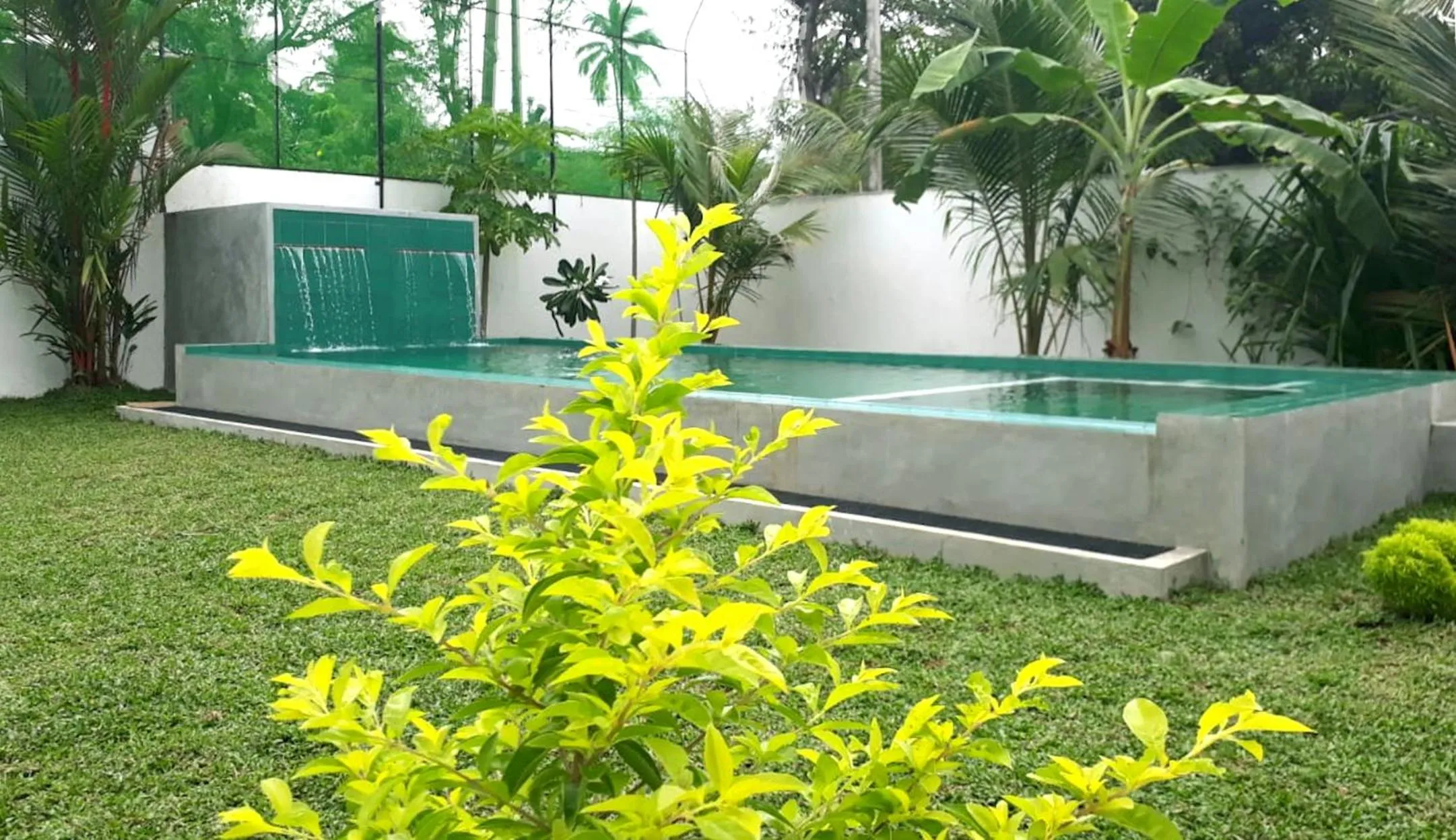 Garden in Emildale Villa