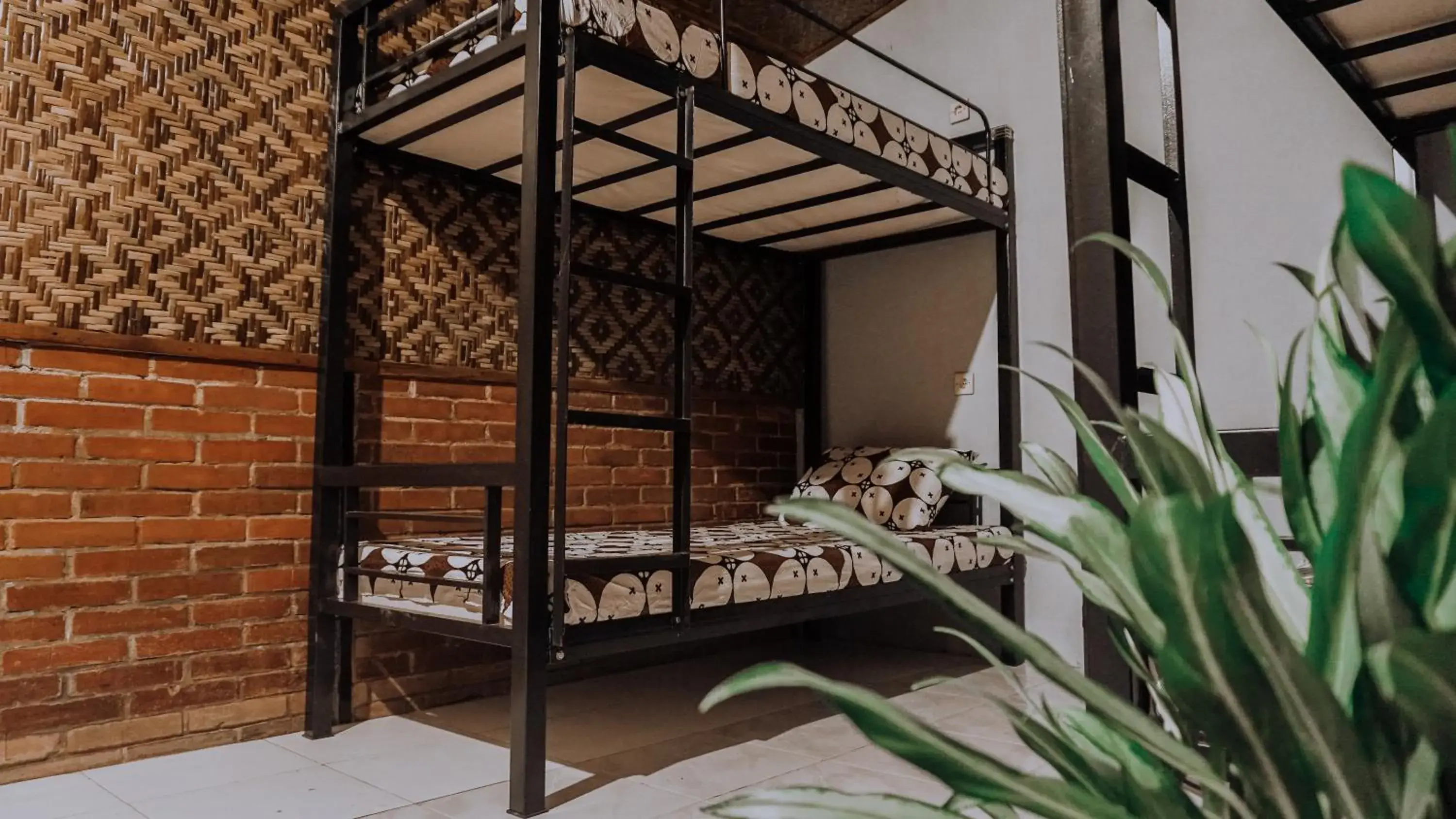 Bunk Bed in Female Dormitory Room in Glory Homestay Bunk Bed in Female Dormitory Room in Glory Homestay