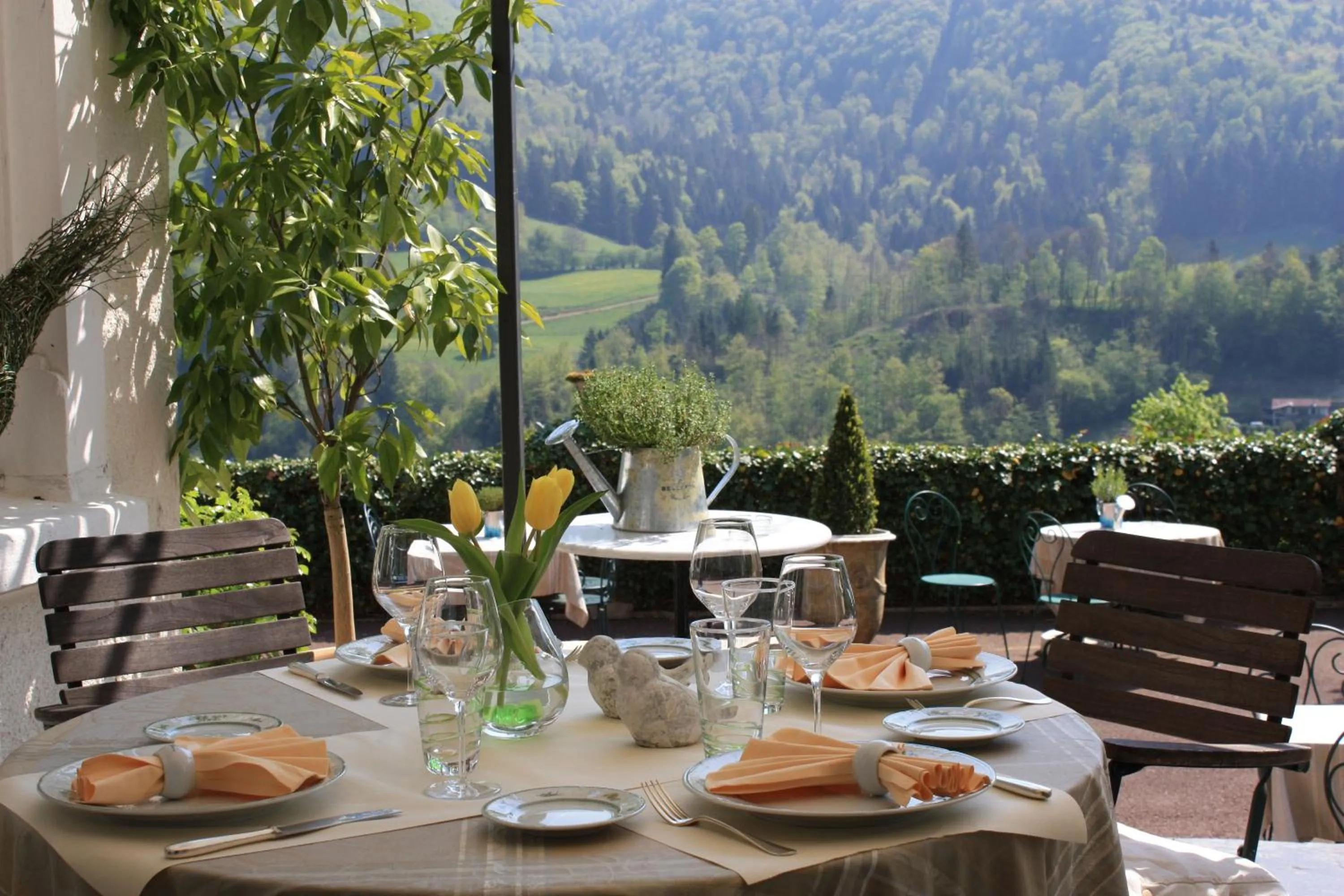 Restaurant/places to eat in Hôtel Restaurant Taillard