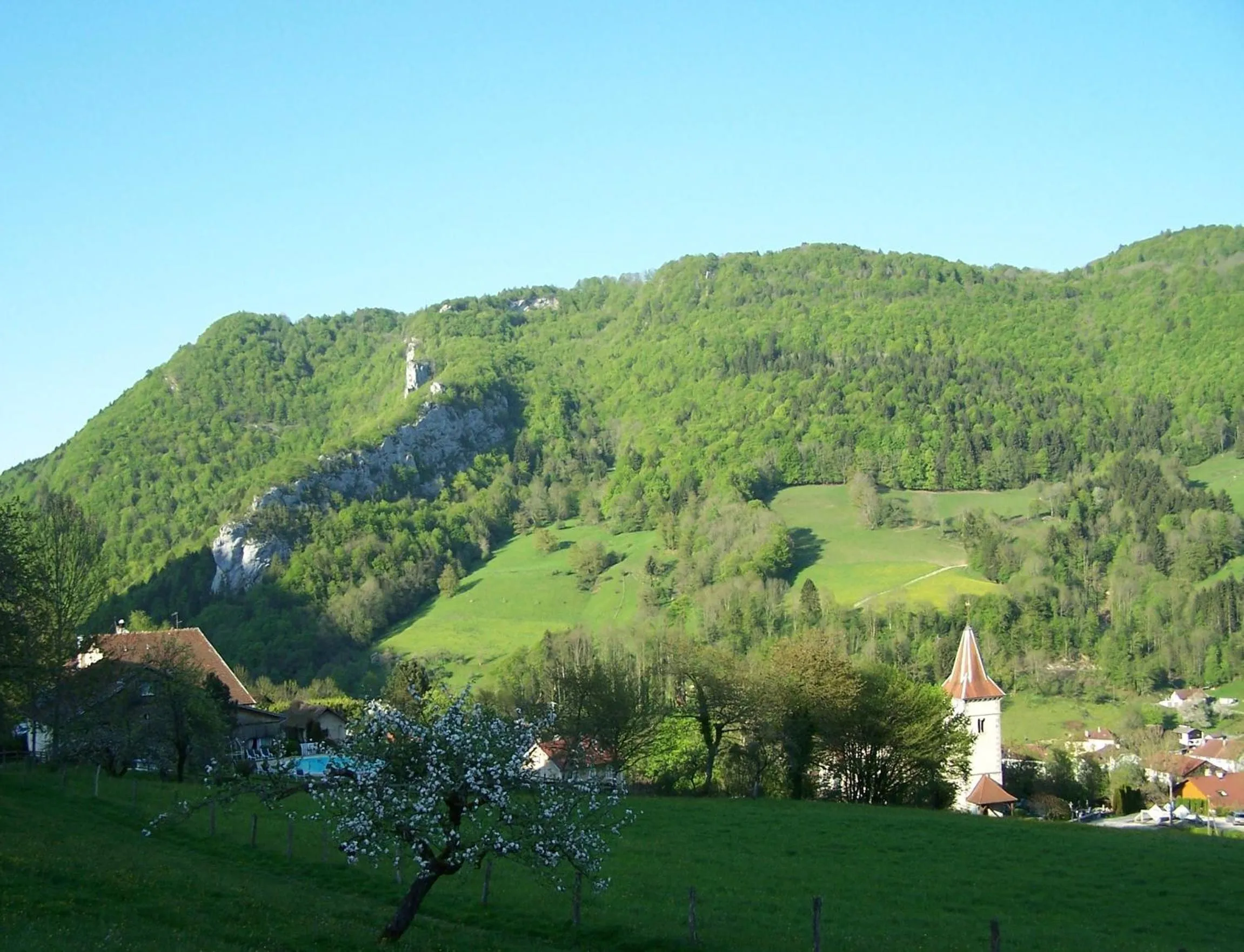 Natural landscape in Hôtel Restaurant Taillard