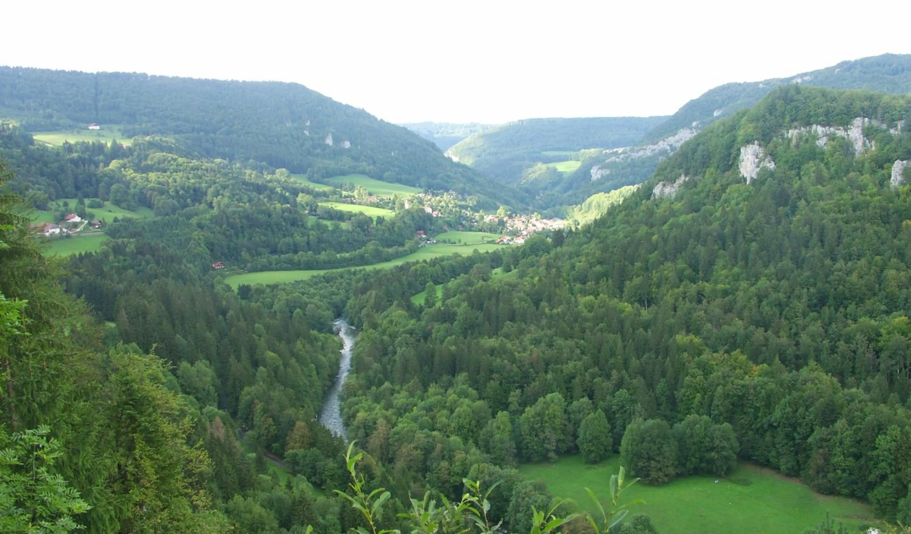 Natural landscape in Hôtel Restaurant Taillard