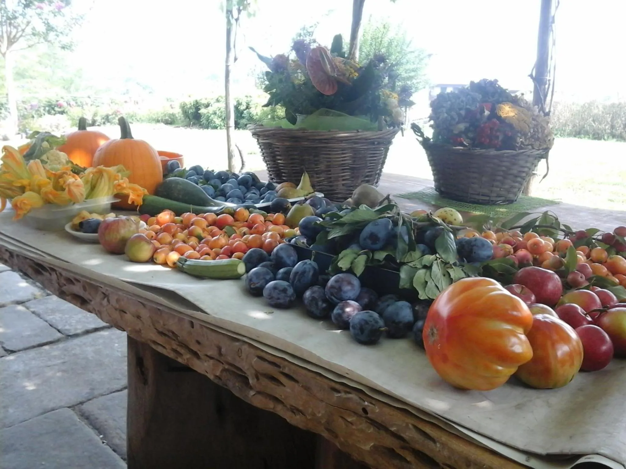 Breakfast in Bio&B Cascina Montebello