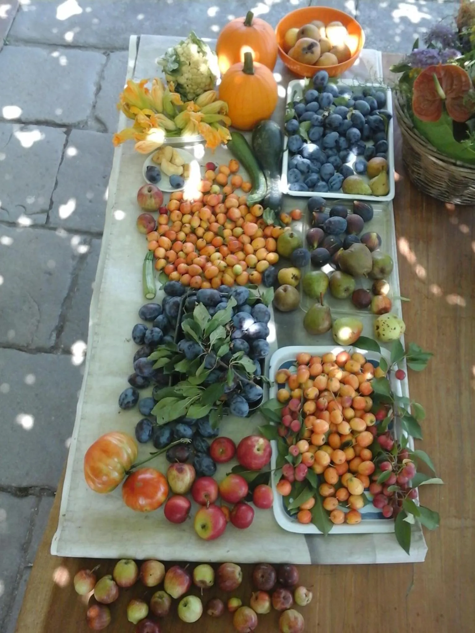Patio in Bio&B Cascina Montebello