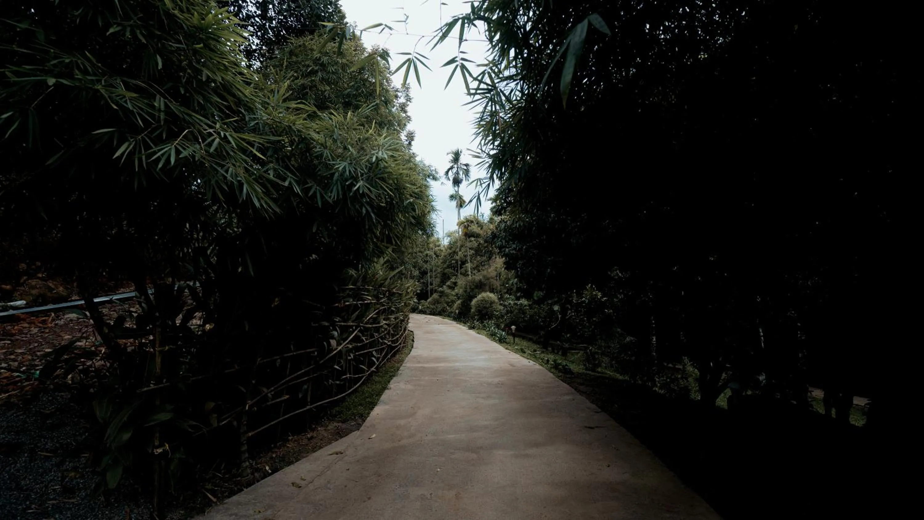 Day in Vythiri Holiday Resort, Wayanad