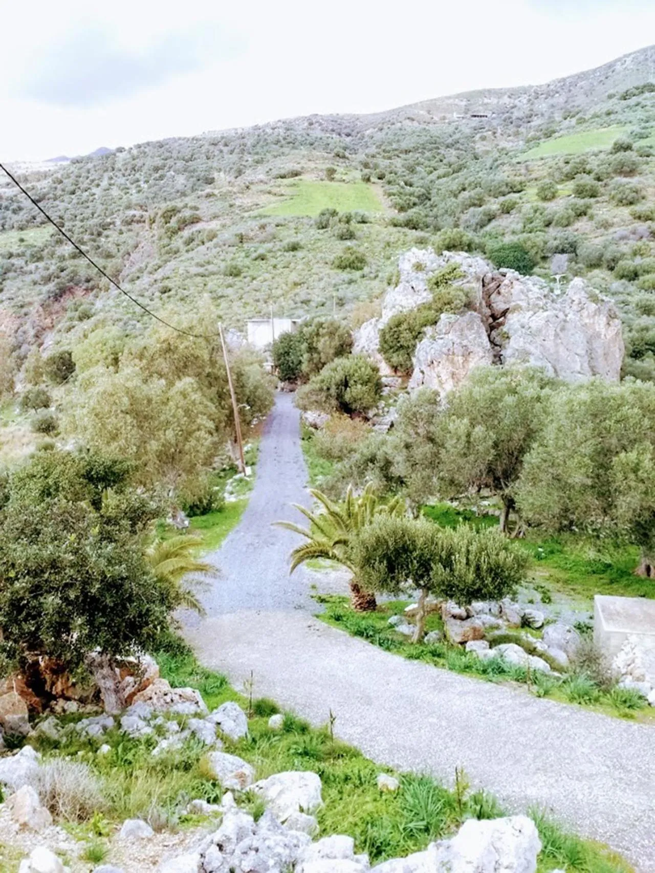 Natural landscape in Akropolis Studios