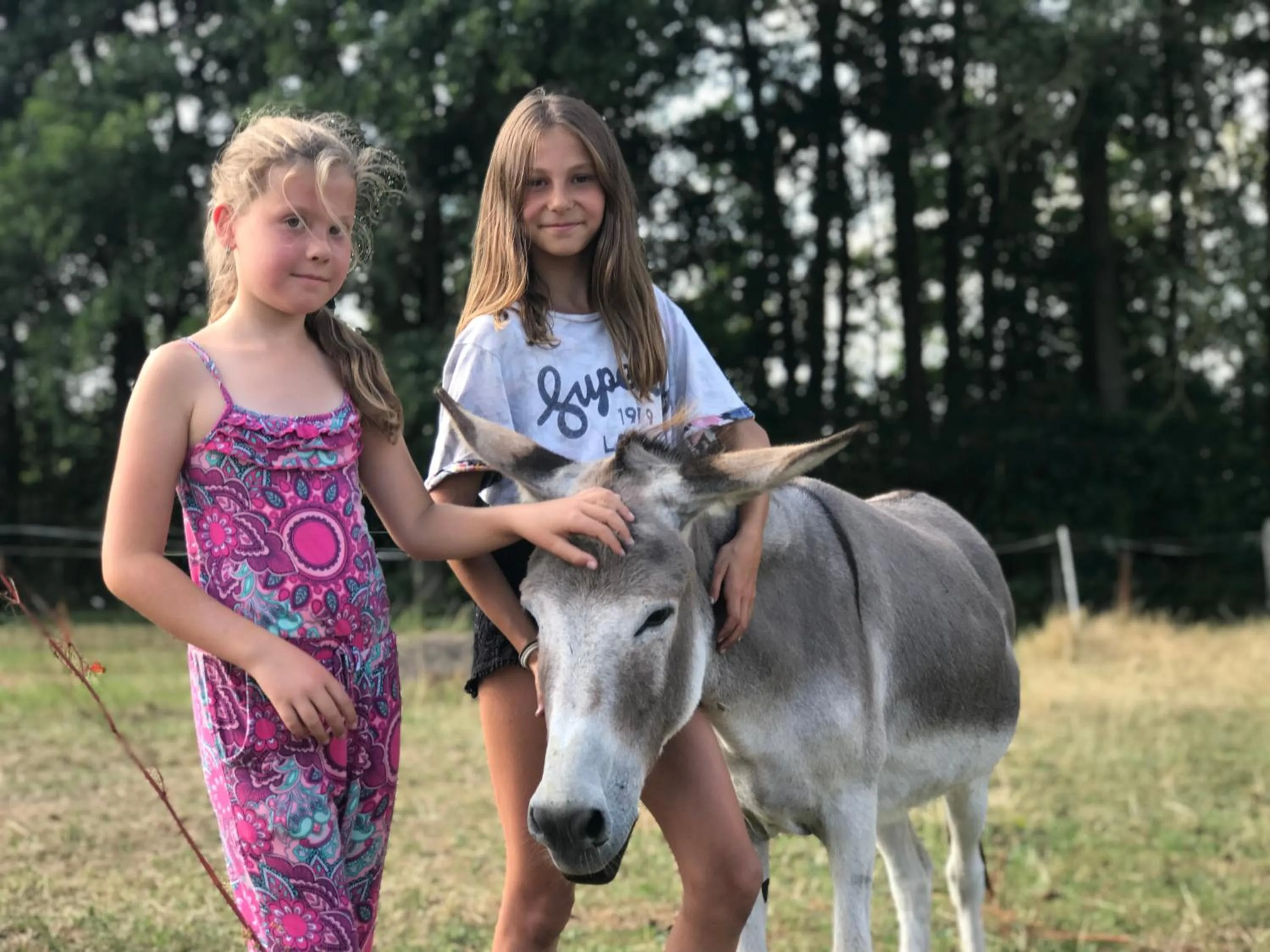 Animals in LandGut Berlinchen