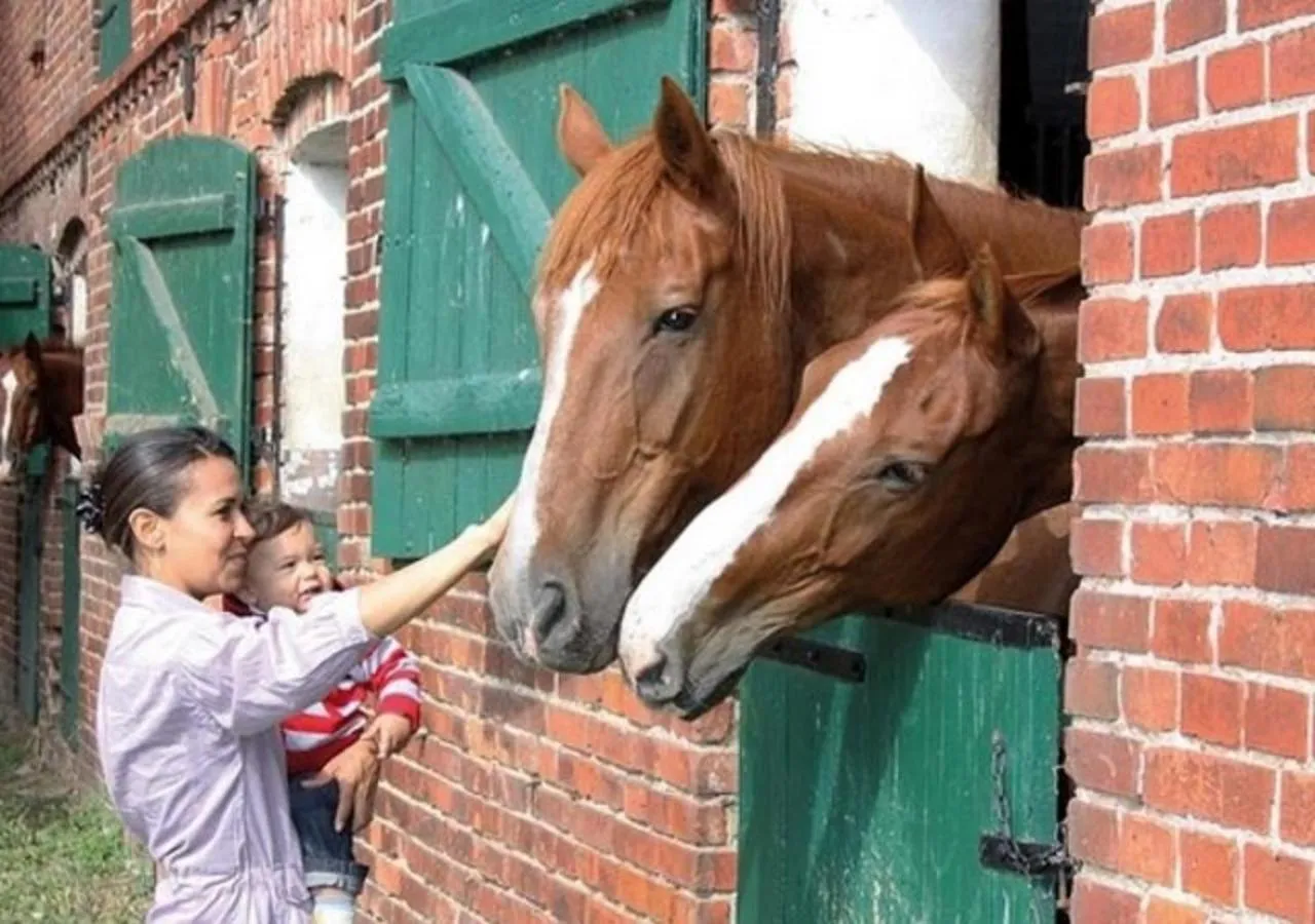 Animals in LandGut Berlinchen