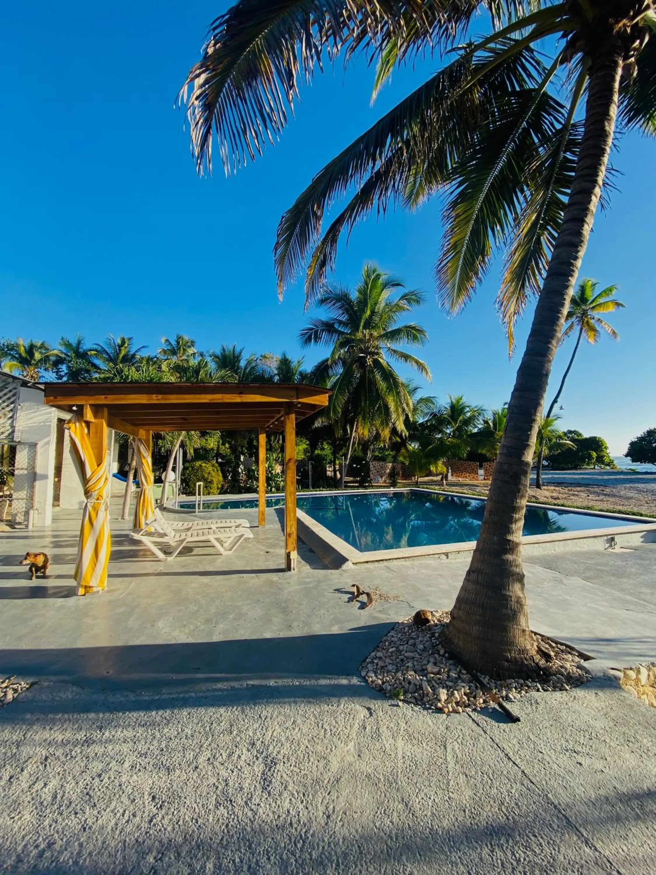 Swimming pool in Hotel Al Mare