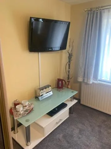 TV and multimedia in Hotel Schwarzes Ross Siebenlehn