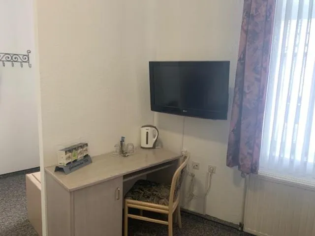 TV and multimedia in Hotel Schwarzes Ross Siebenlehn