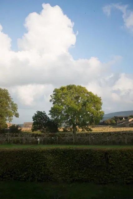 Garden view in Rooms At Aysgarth ,Town Ends