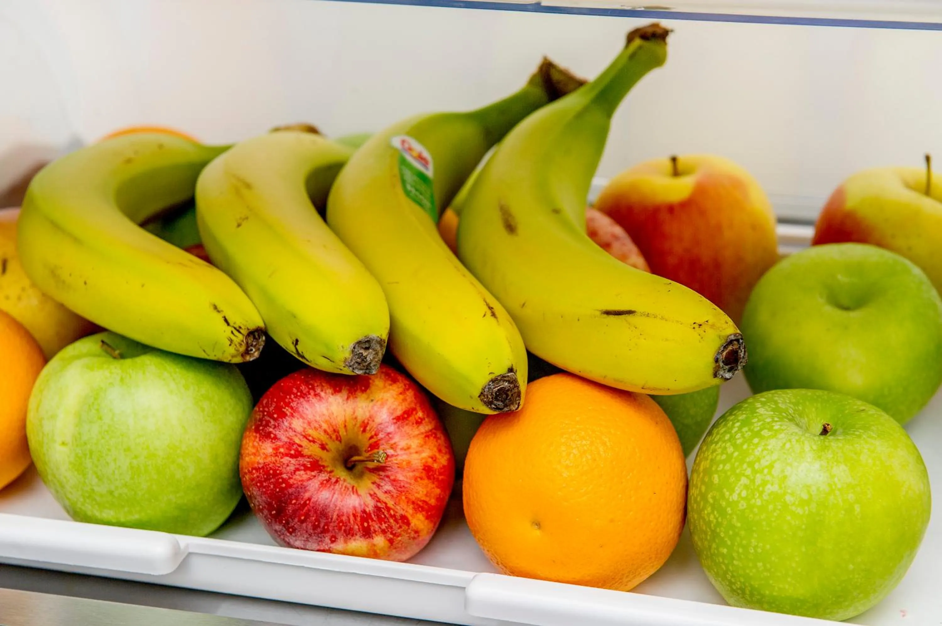 Communal kitchen in South Wind Guesthouse