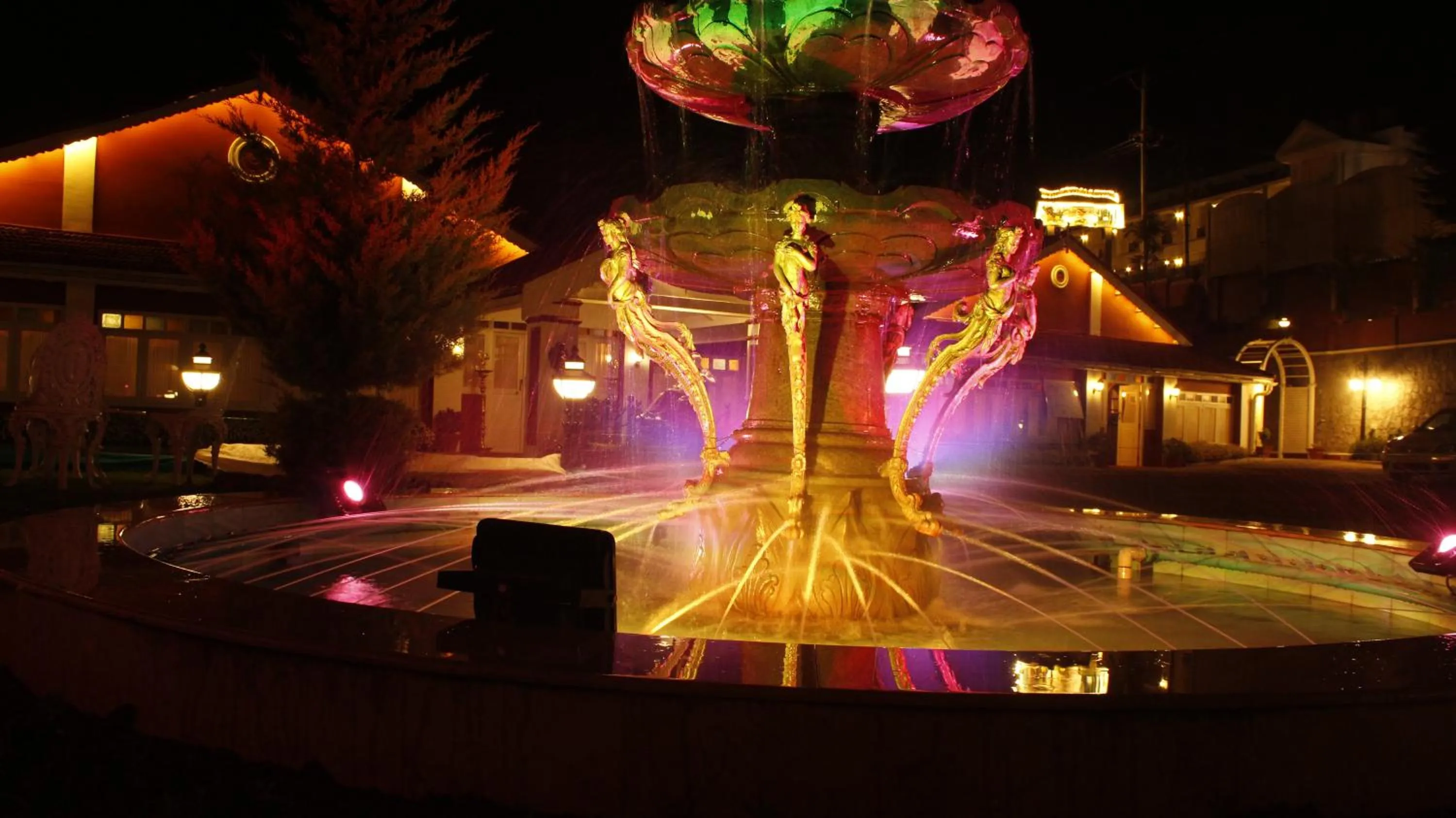 Garden in West Downs - The Heritage Resort