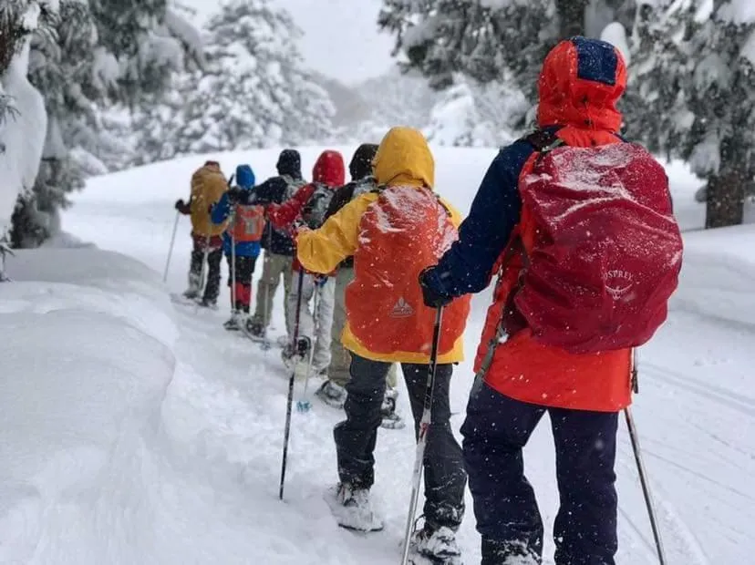 People in Hotel Tae Windsor