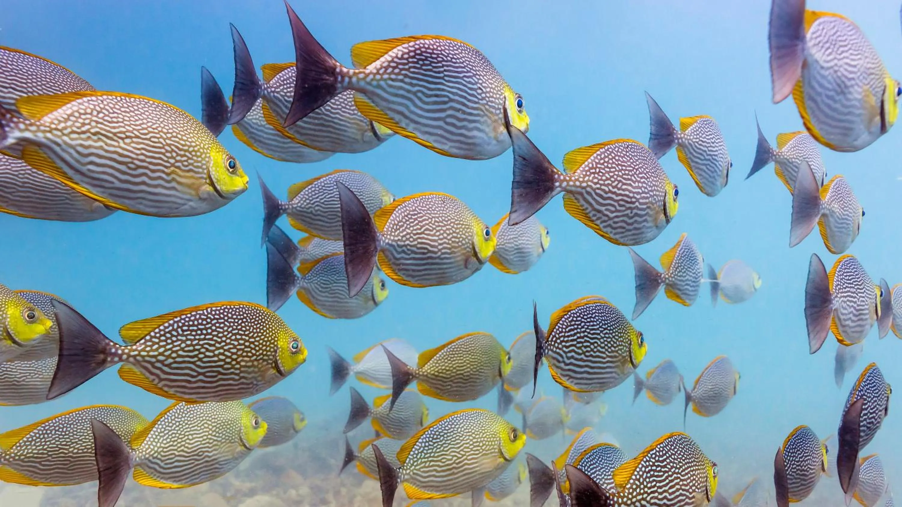 Snorkeling in Baan Talay Resort & Yoga