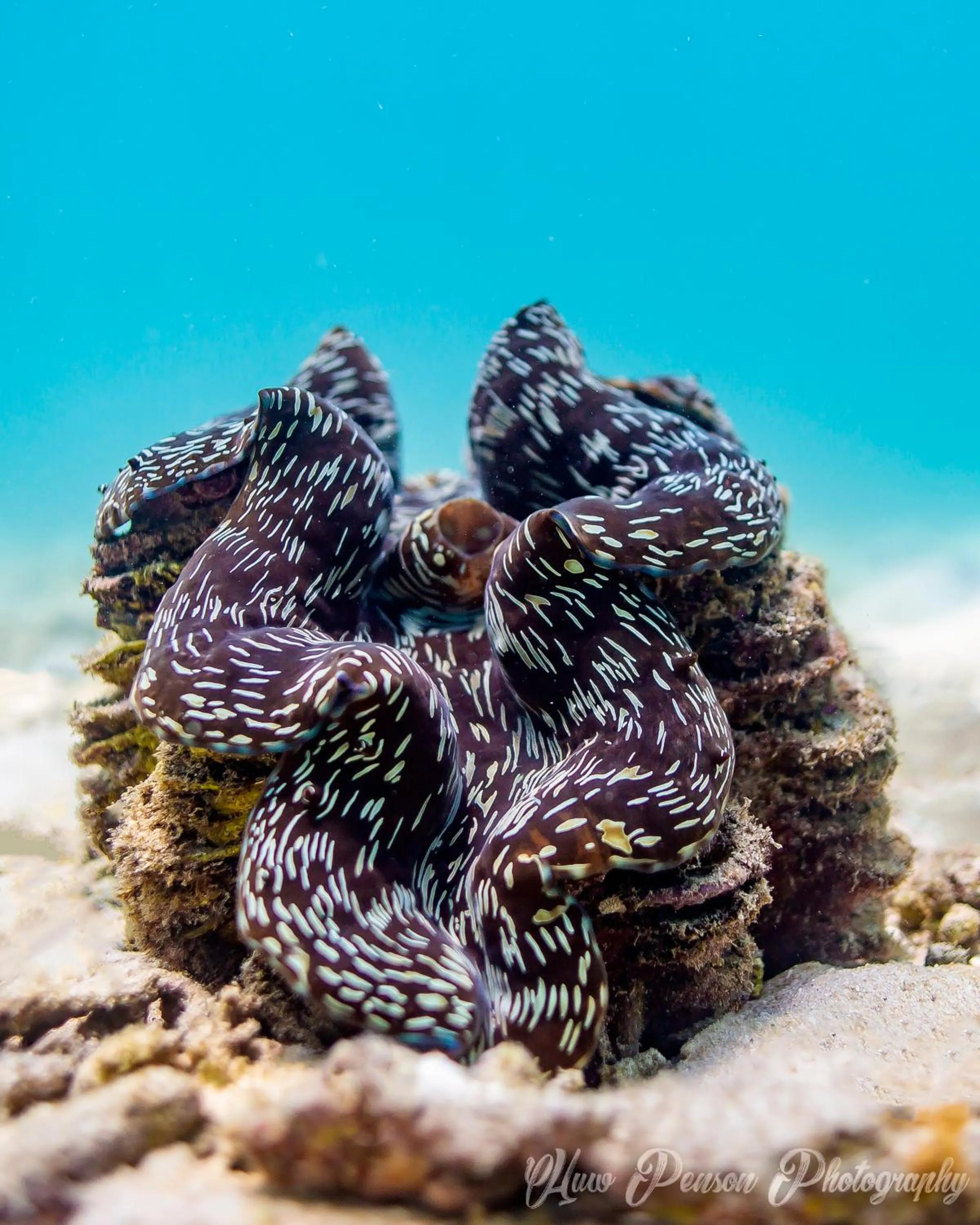 Snorkeling in Baan Talay Resort & Yoga
