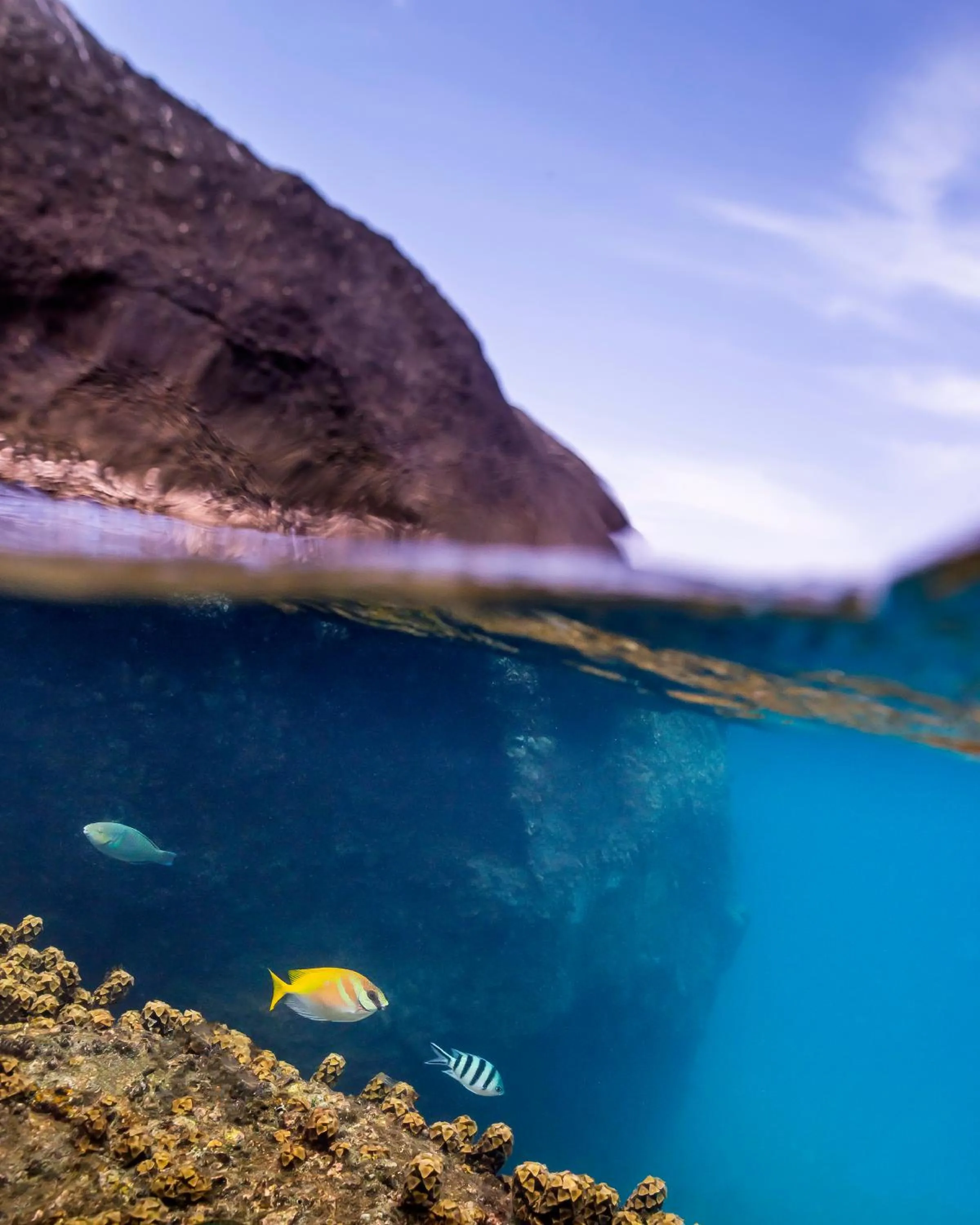 Snorkeling in Baan Talay Resort & Yoga