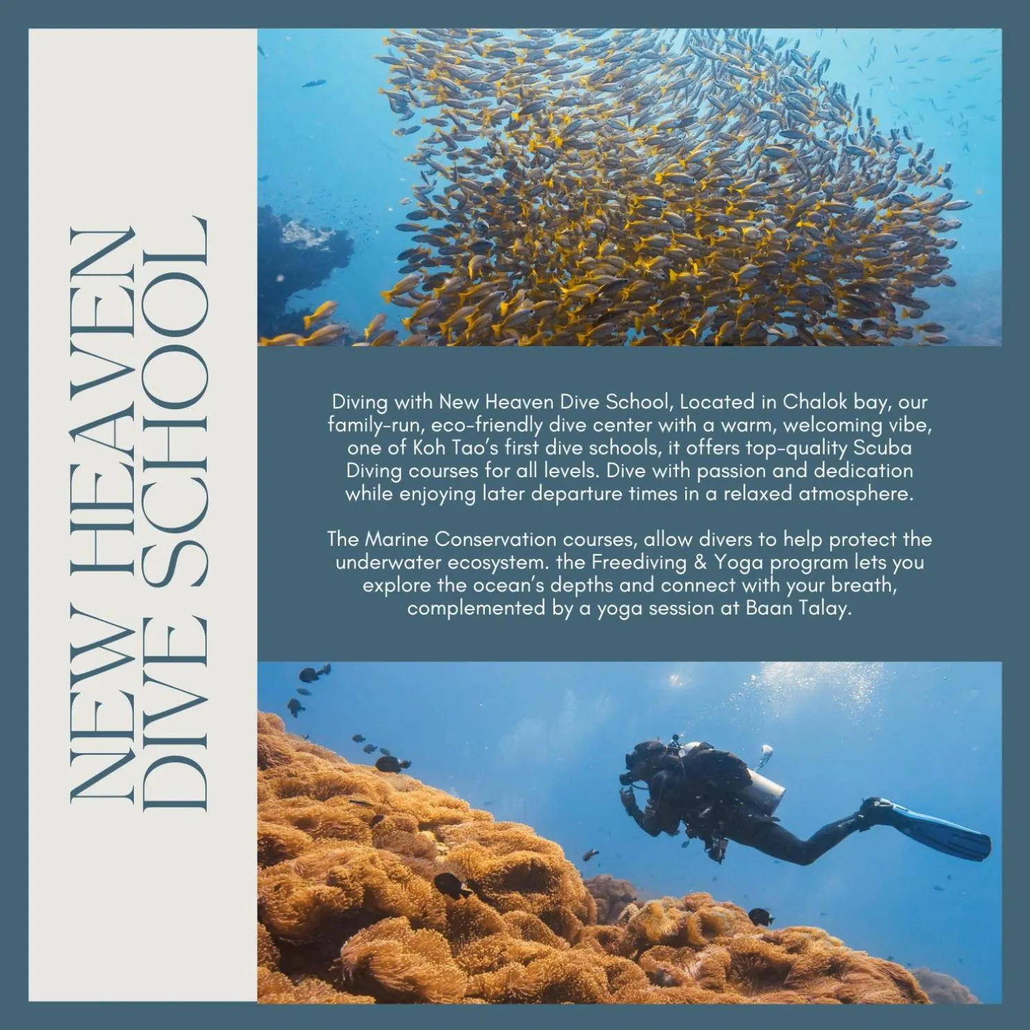 Diving in Baan Talay Resort & Yoga