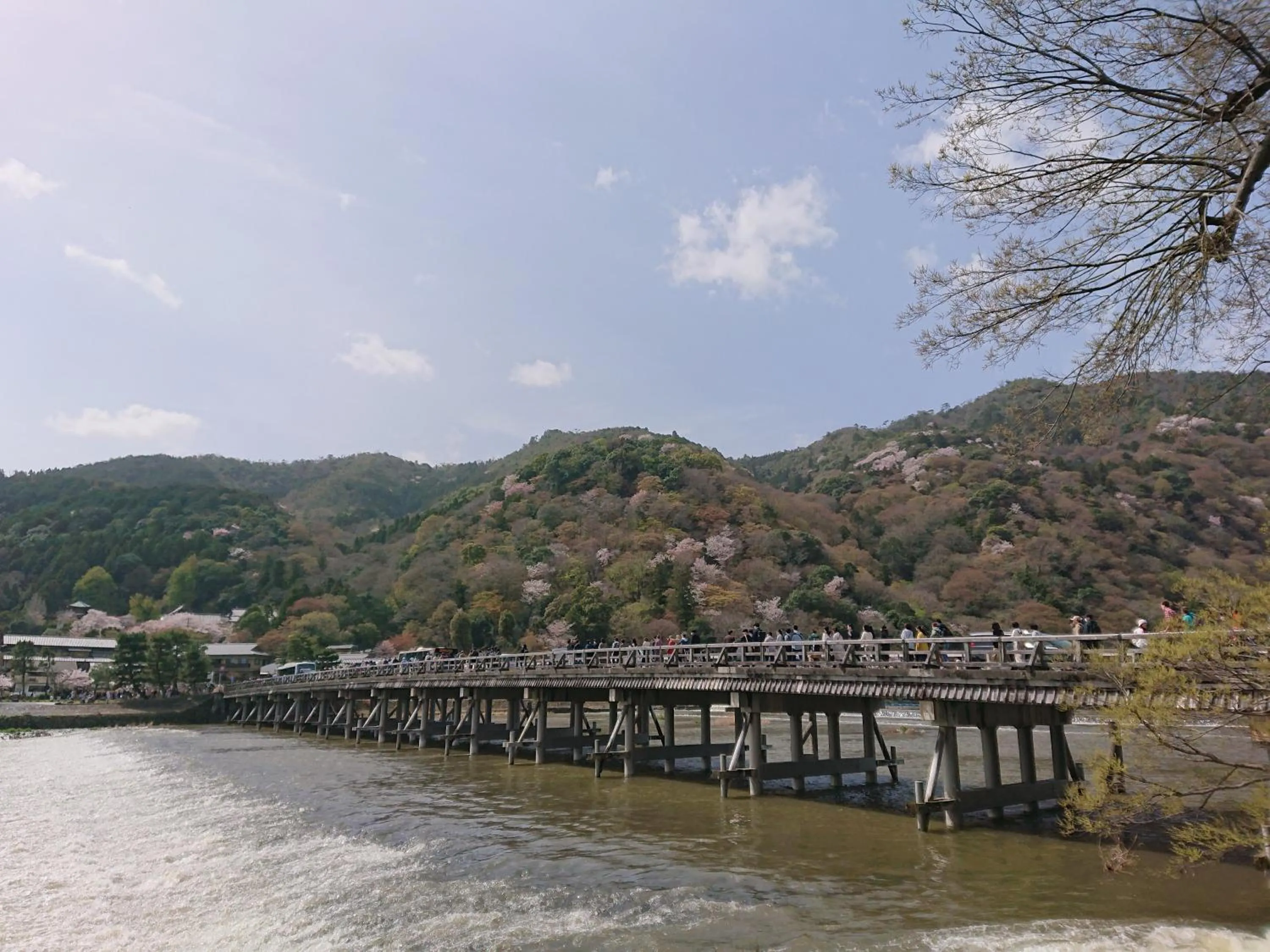 Nearby landmark in Hotel Arashiyama