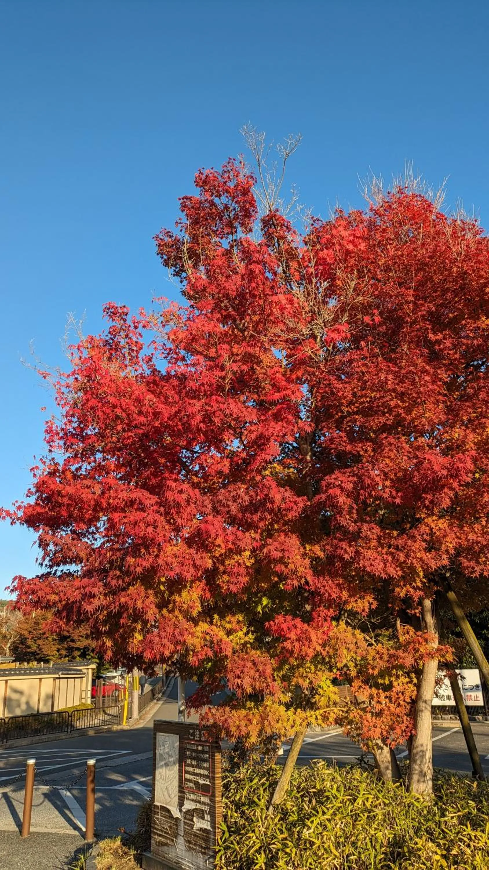 Off site in Hotel Arashiyama