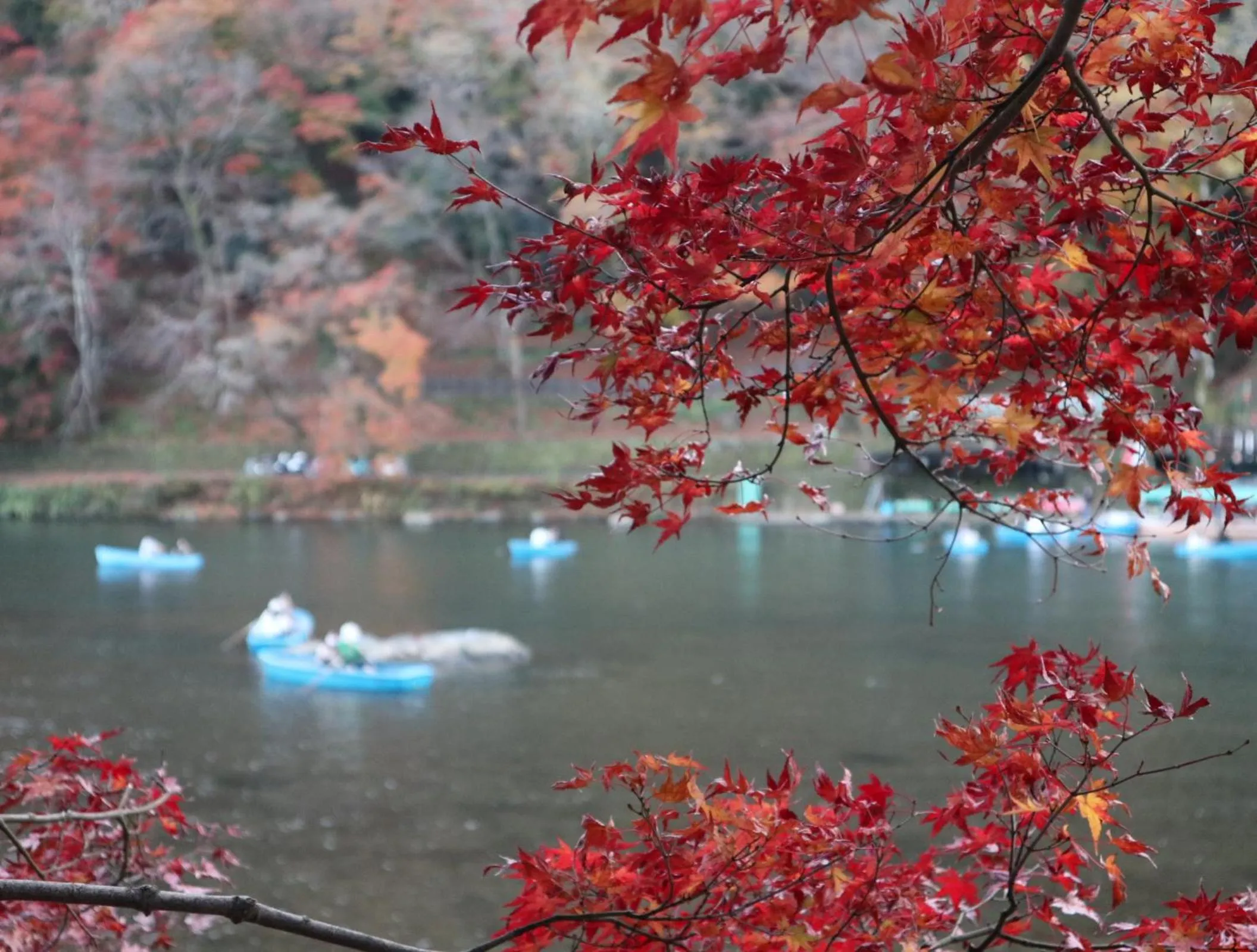 Nearby landmark in Hotel Arashiyama