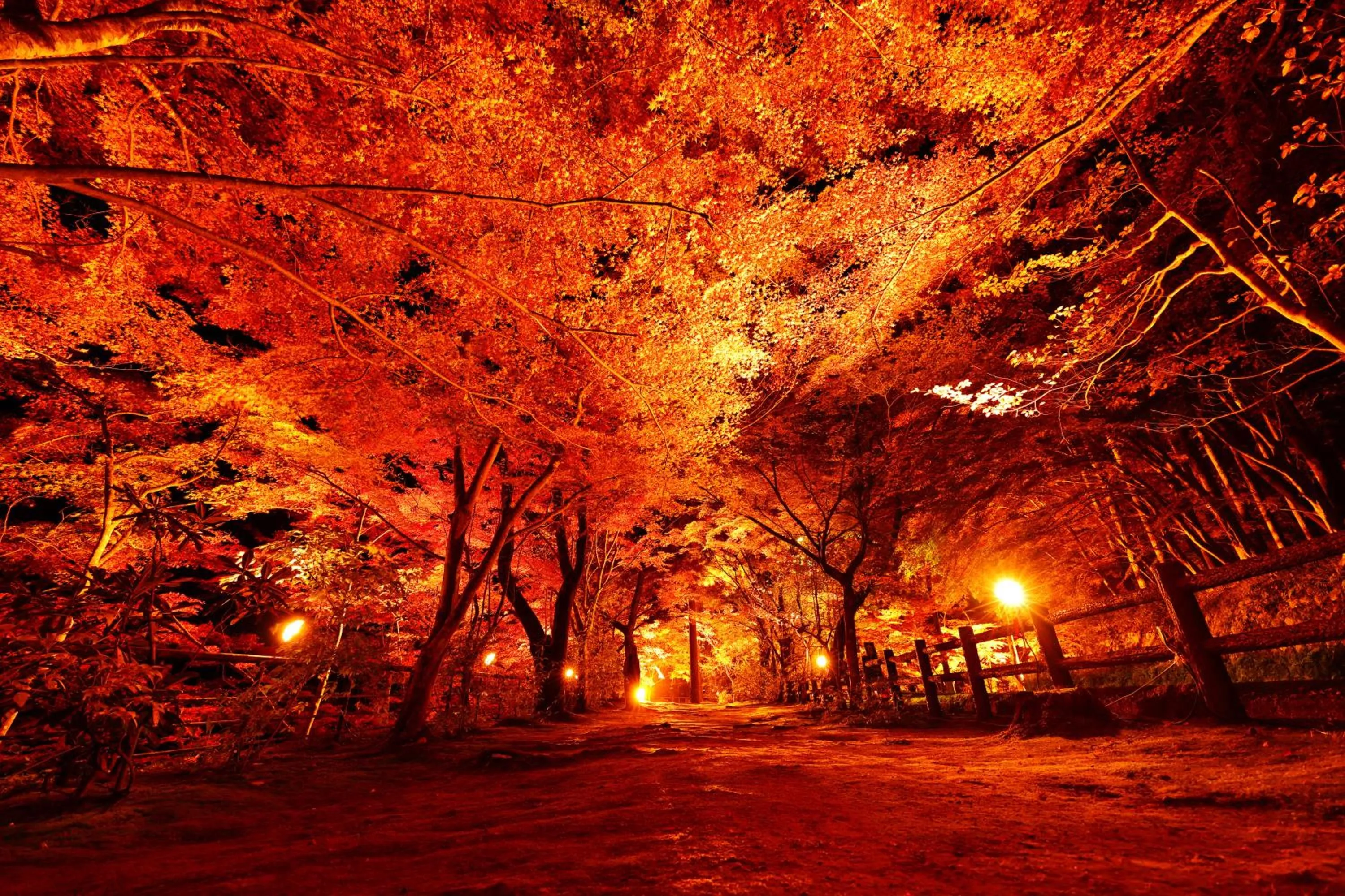 Nearby landmark in Okutsu Onsen Komeya Club