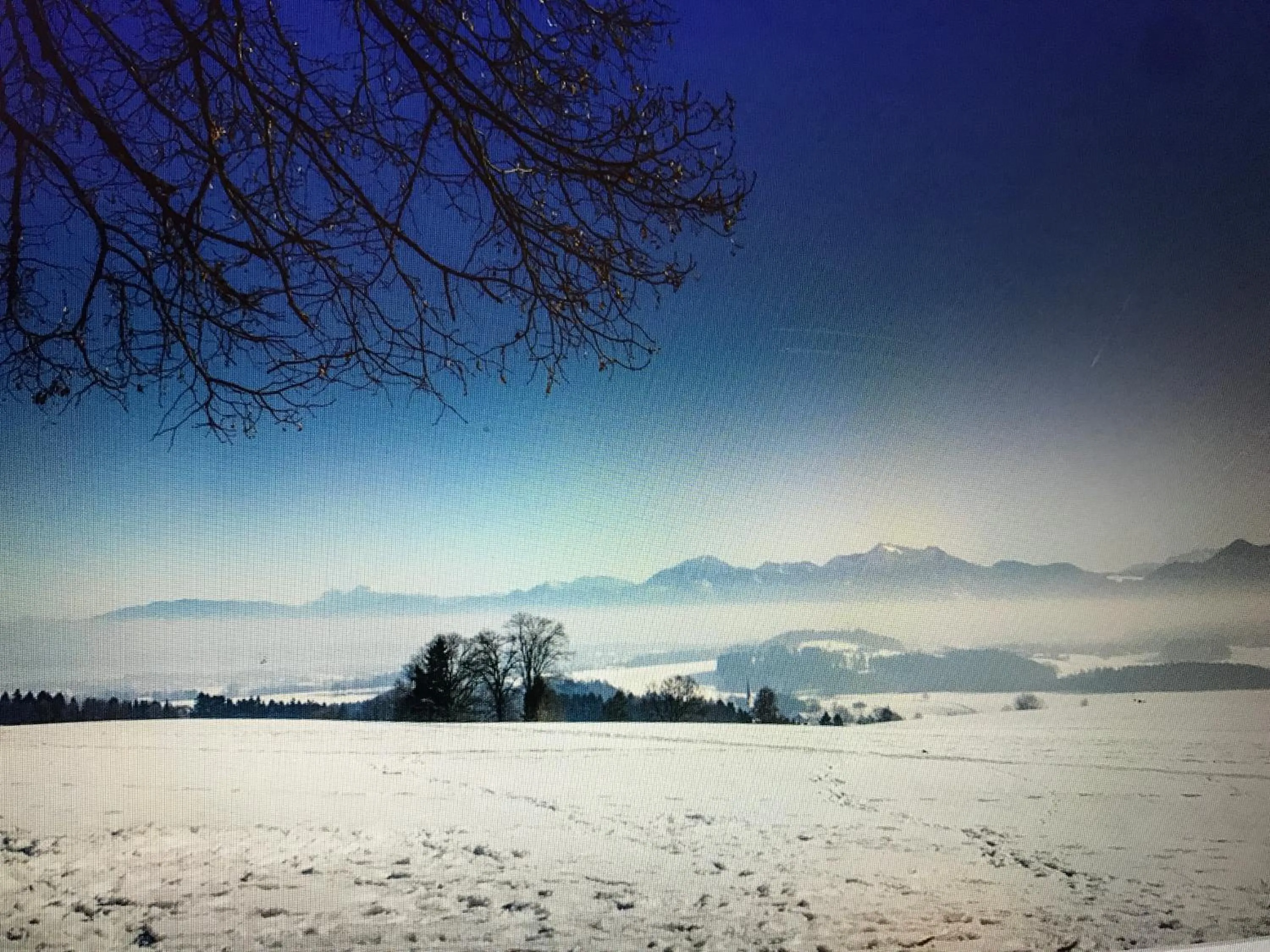 Natural landscape in Posthotel Sachrang