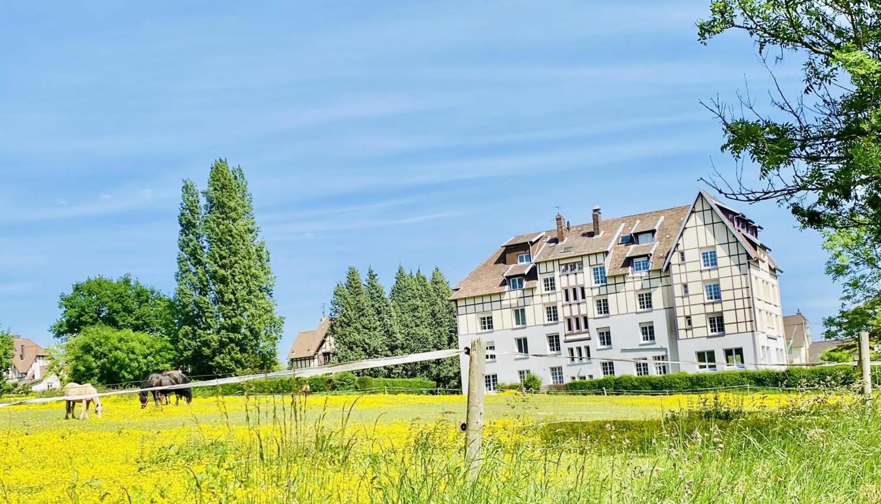 View (from property/room) in Sure Hotel by Best Western Port Jérome - Le Havre