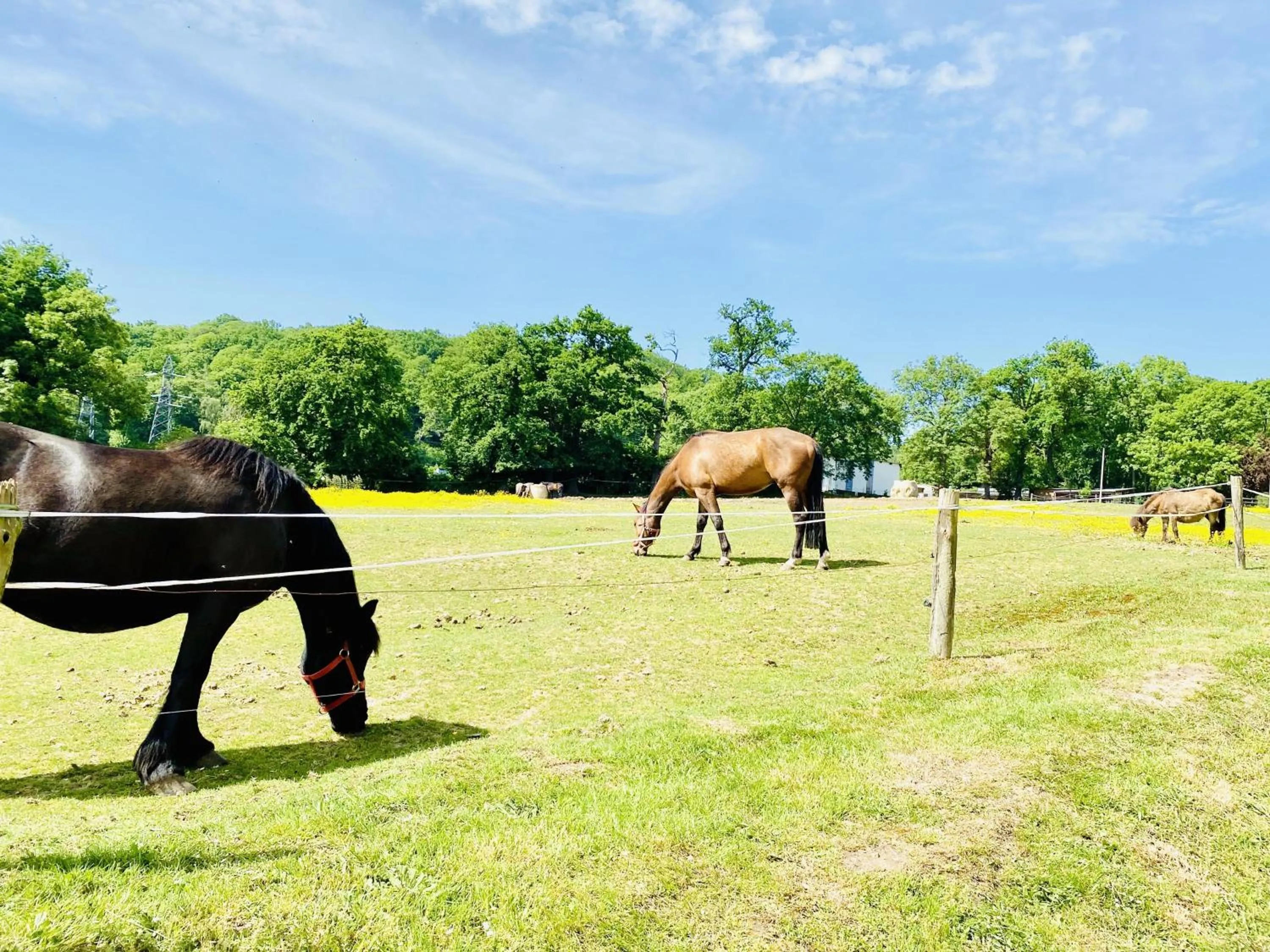 View (from property/room) in Sure Hotel by Best Western Port Jérome - Le Havre