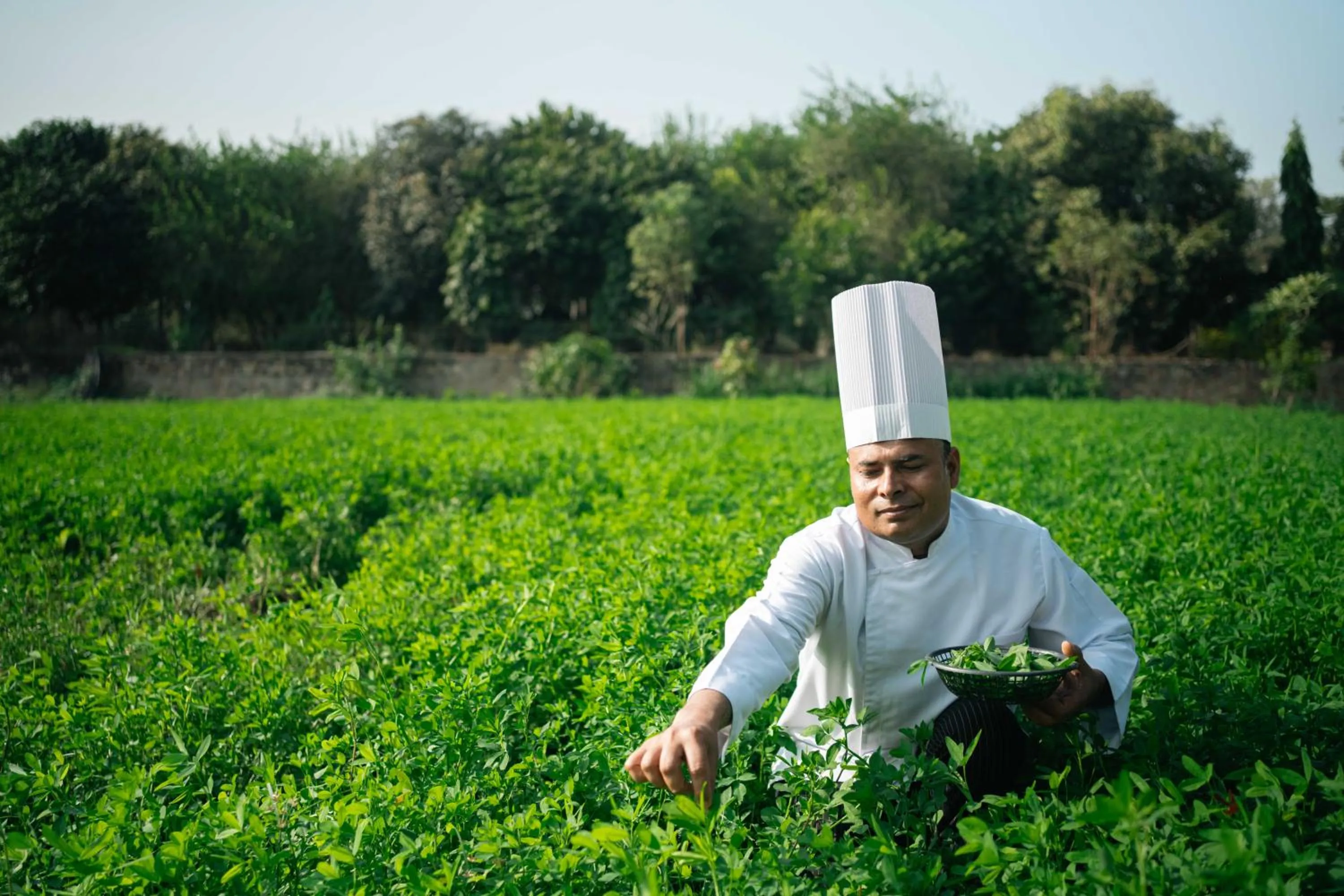 Activities in Abhyaran Resort & Spa Ranthambore