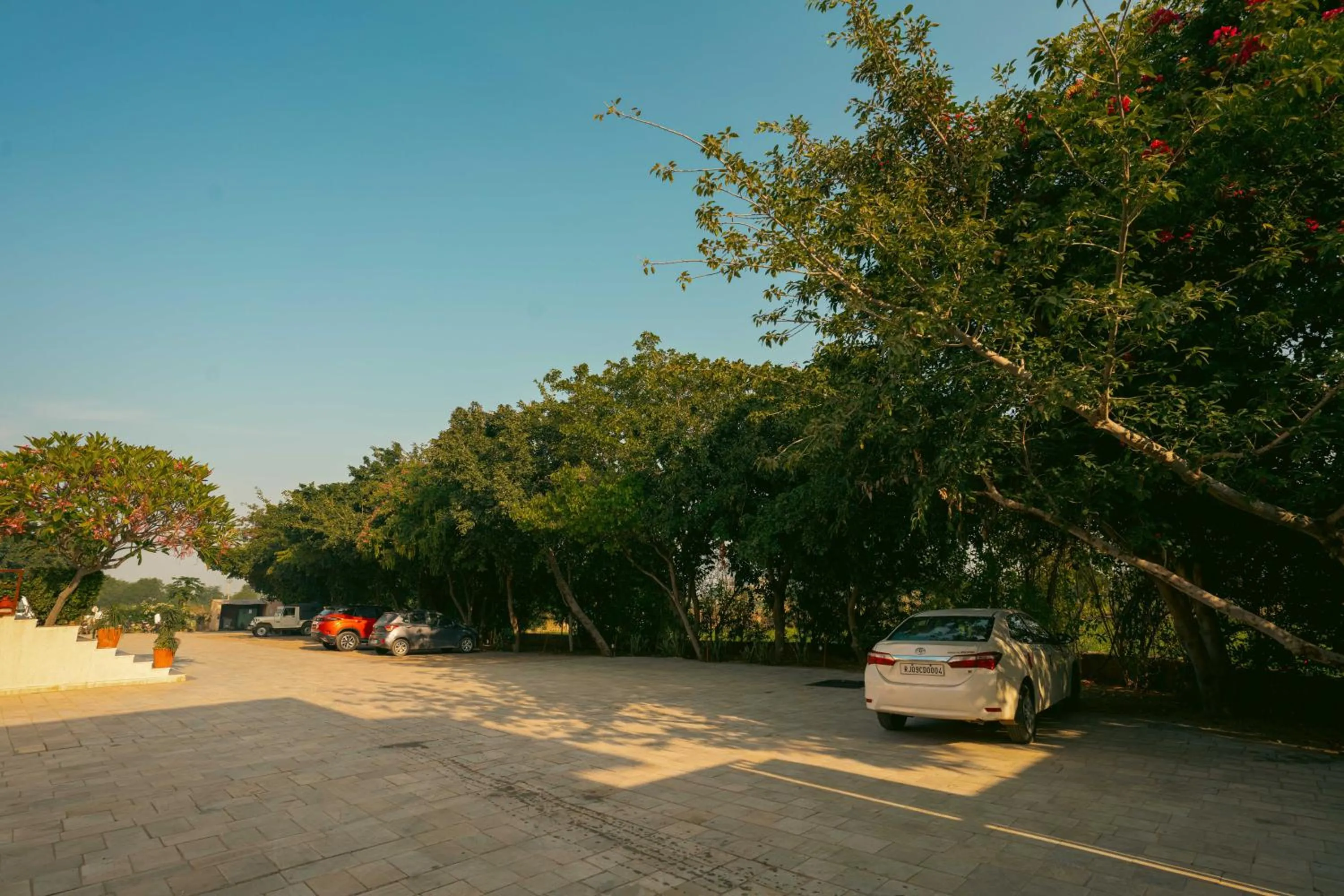 Facade/entrance in Abhyaran Resort & Spa Ranthambore