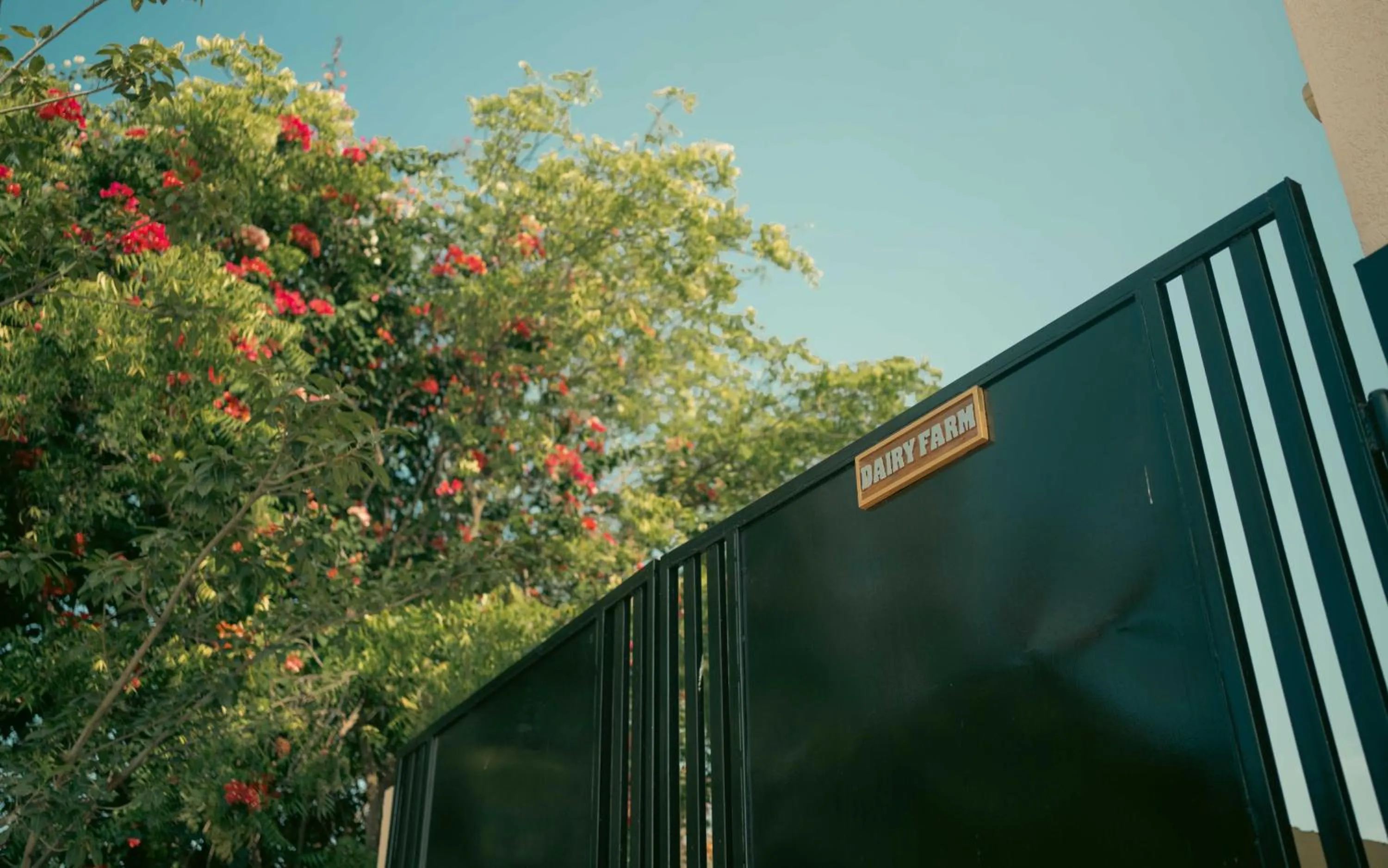 Evening entertainment in Abhyaran Resort & Spa Ranthambore