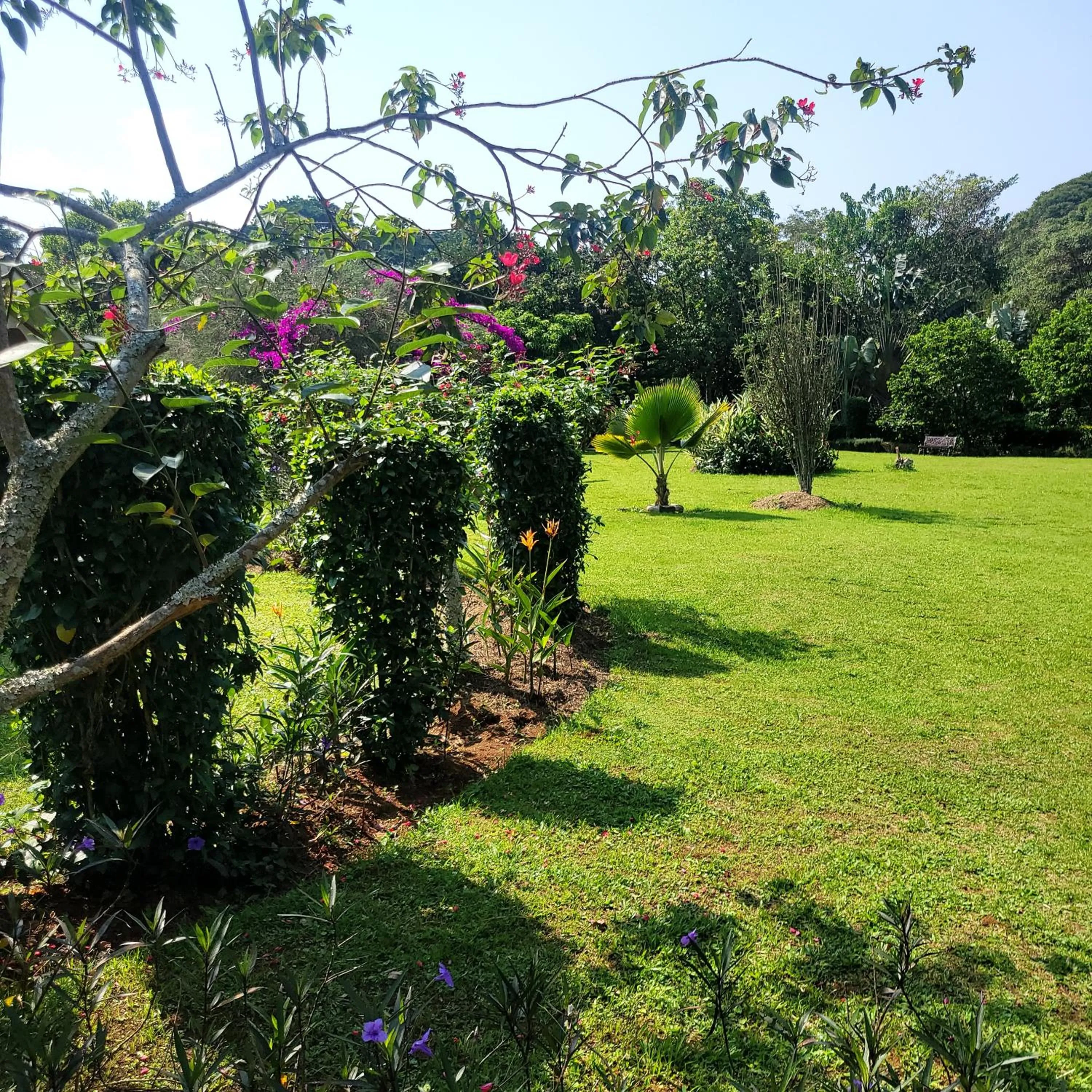 Natural landscape in Philo Leisure Gardens
