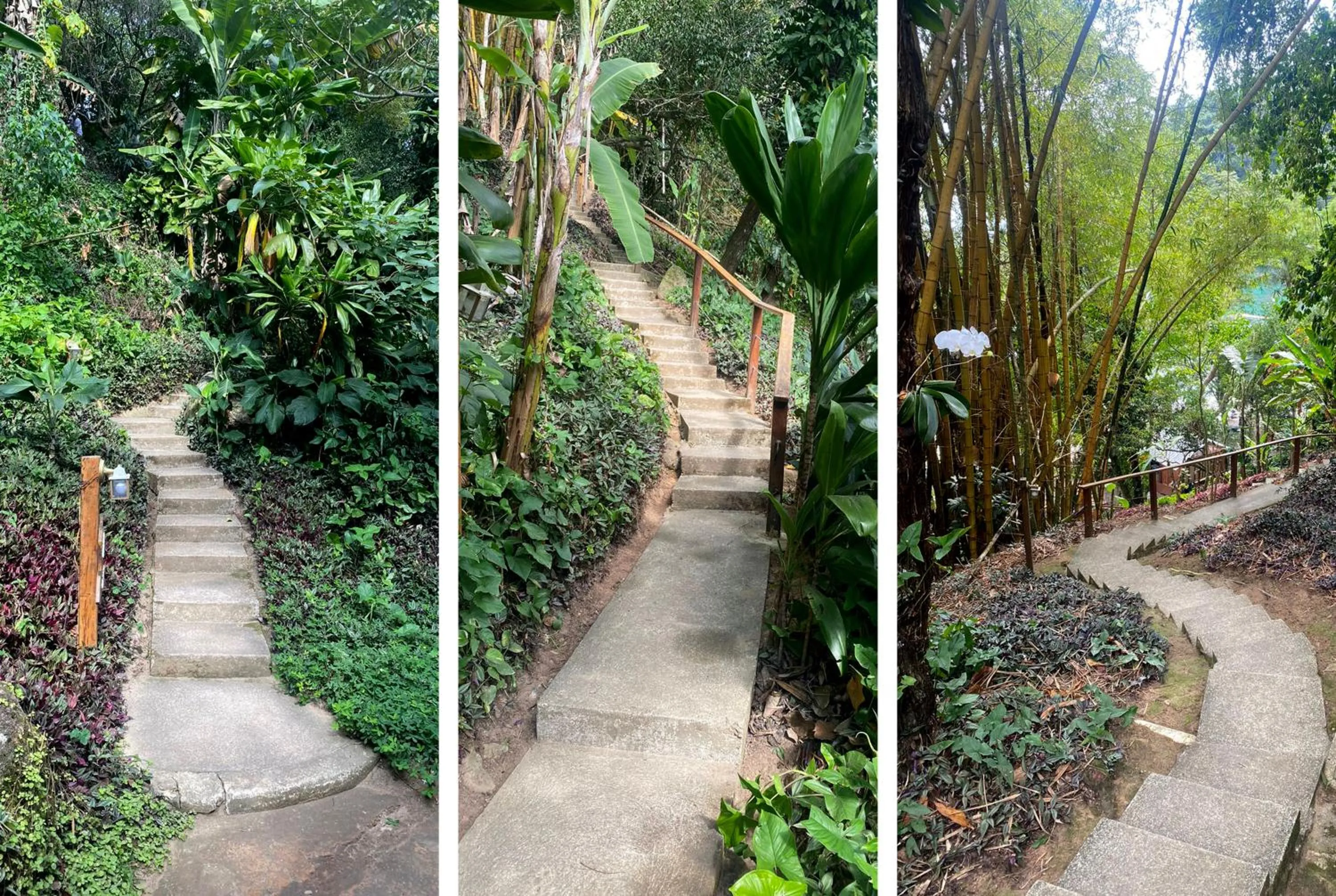 Natural landscape in Bonito Paraiso Ilha Grande