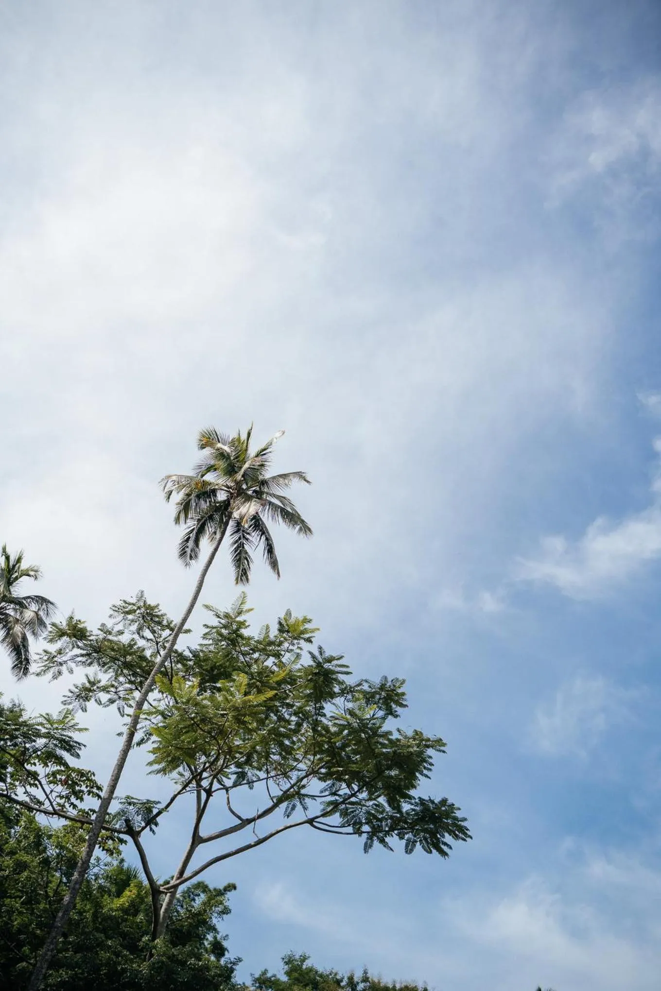 Garden view in Bonito Paraiso Ilha Grande