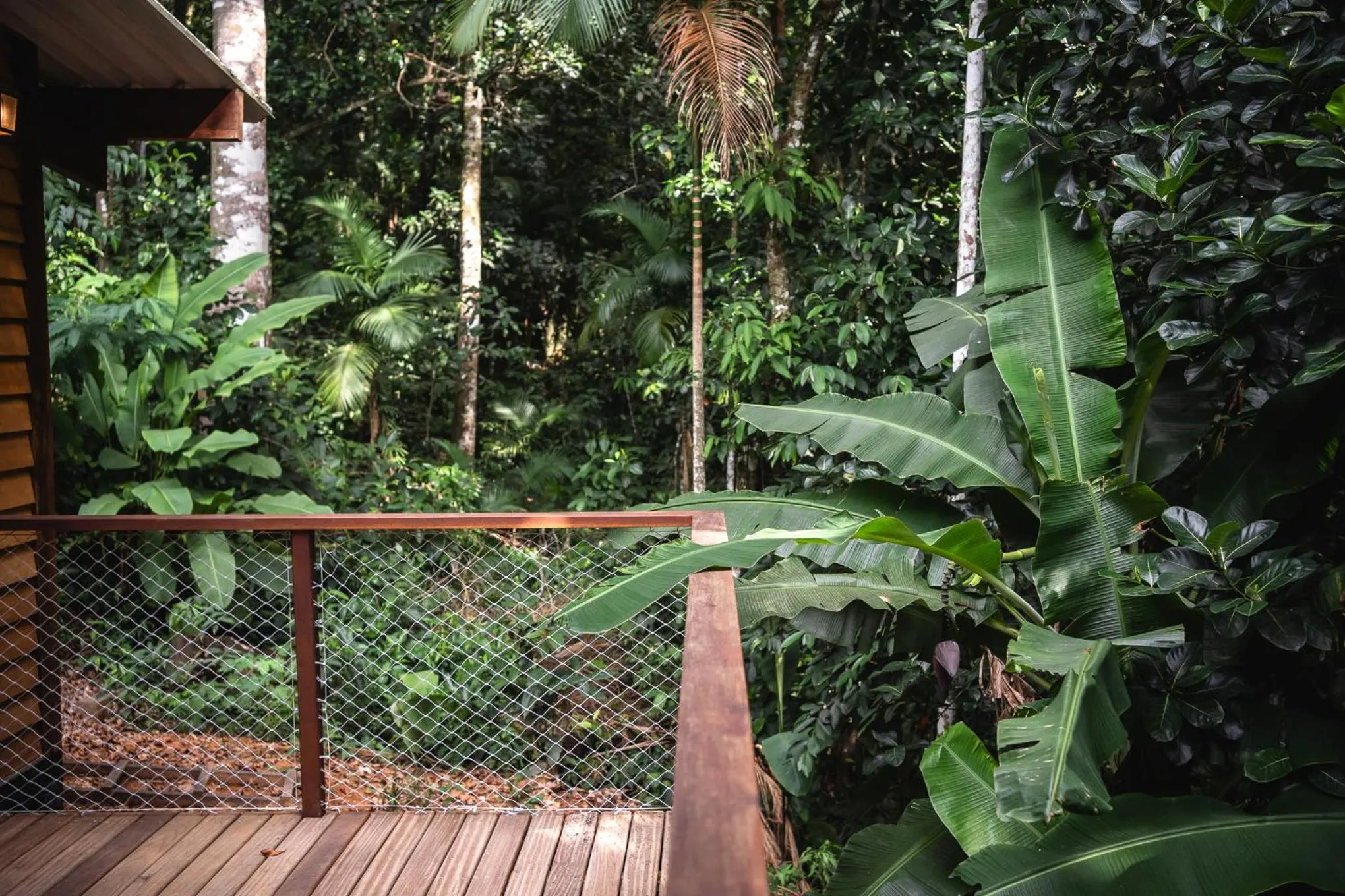Natural landscape in Bonito Paraiso Ilha Grande