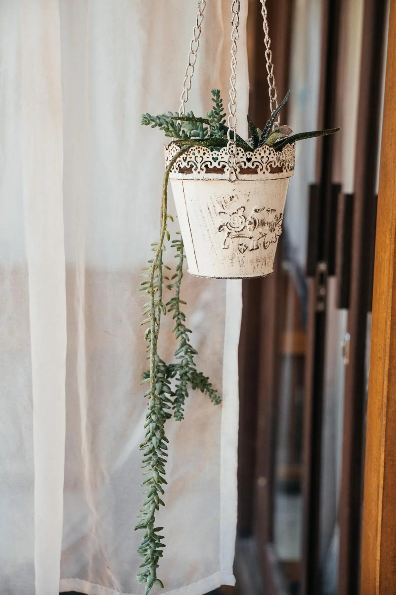 Garden view in Bonito Paraiso Ilha Grande