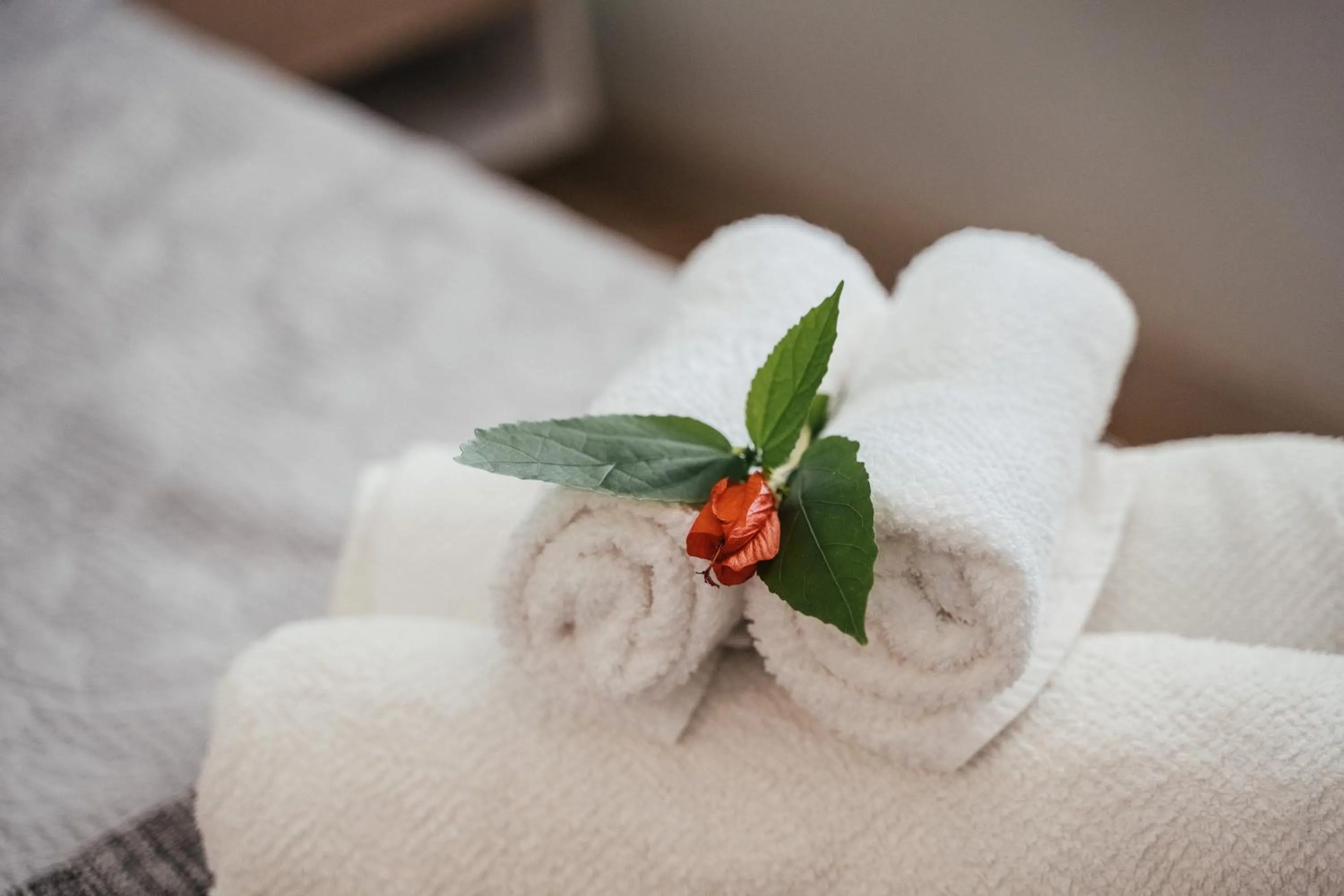 Bed in Bonito Paraiso Ilha Grande