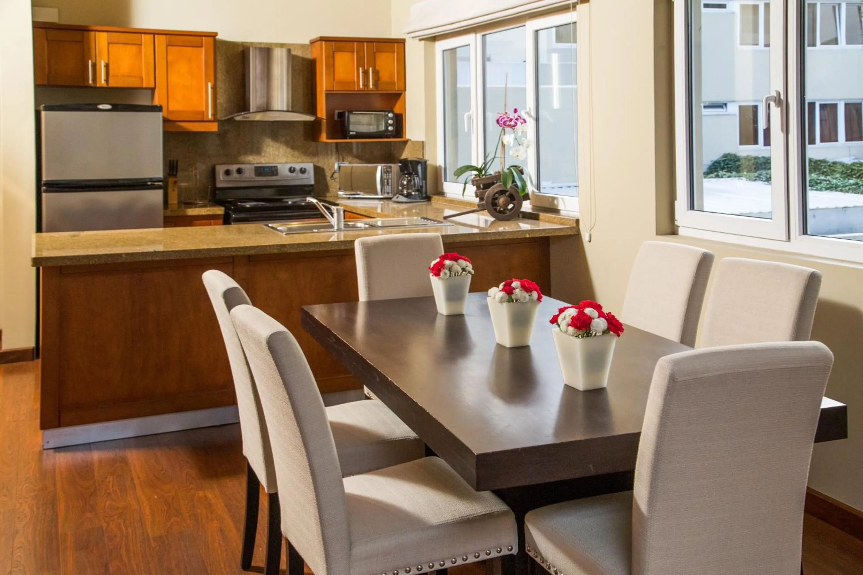 Kitchen or kitchenette in Apart-Hotel Casa Serena