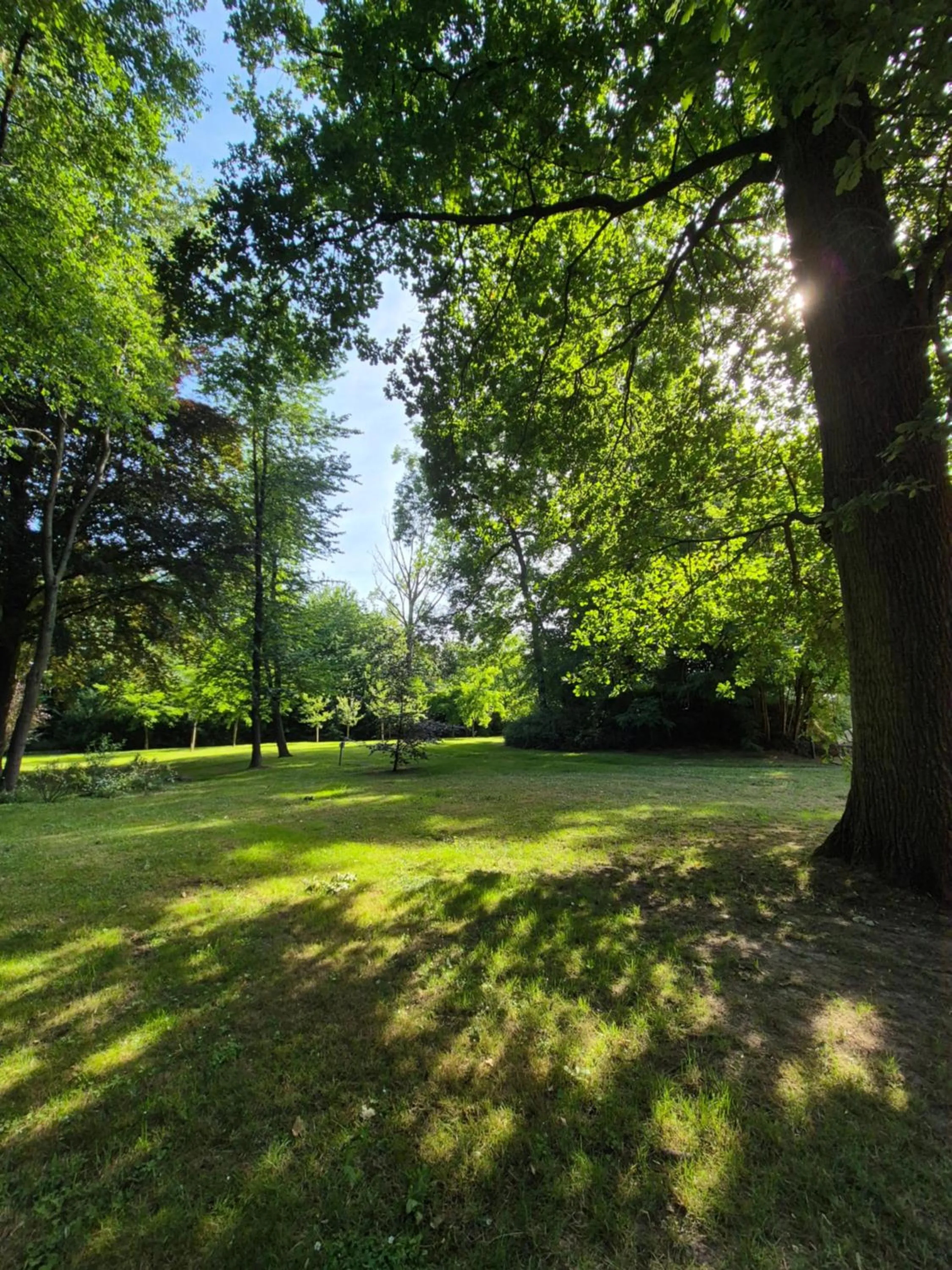 Domitys - Le Carillon d'or