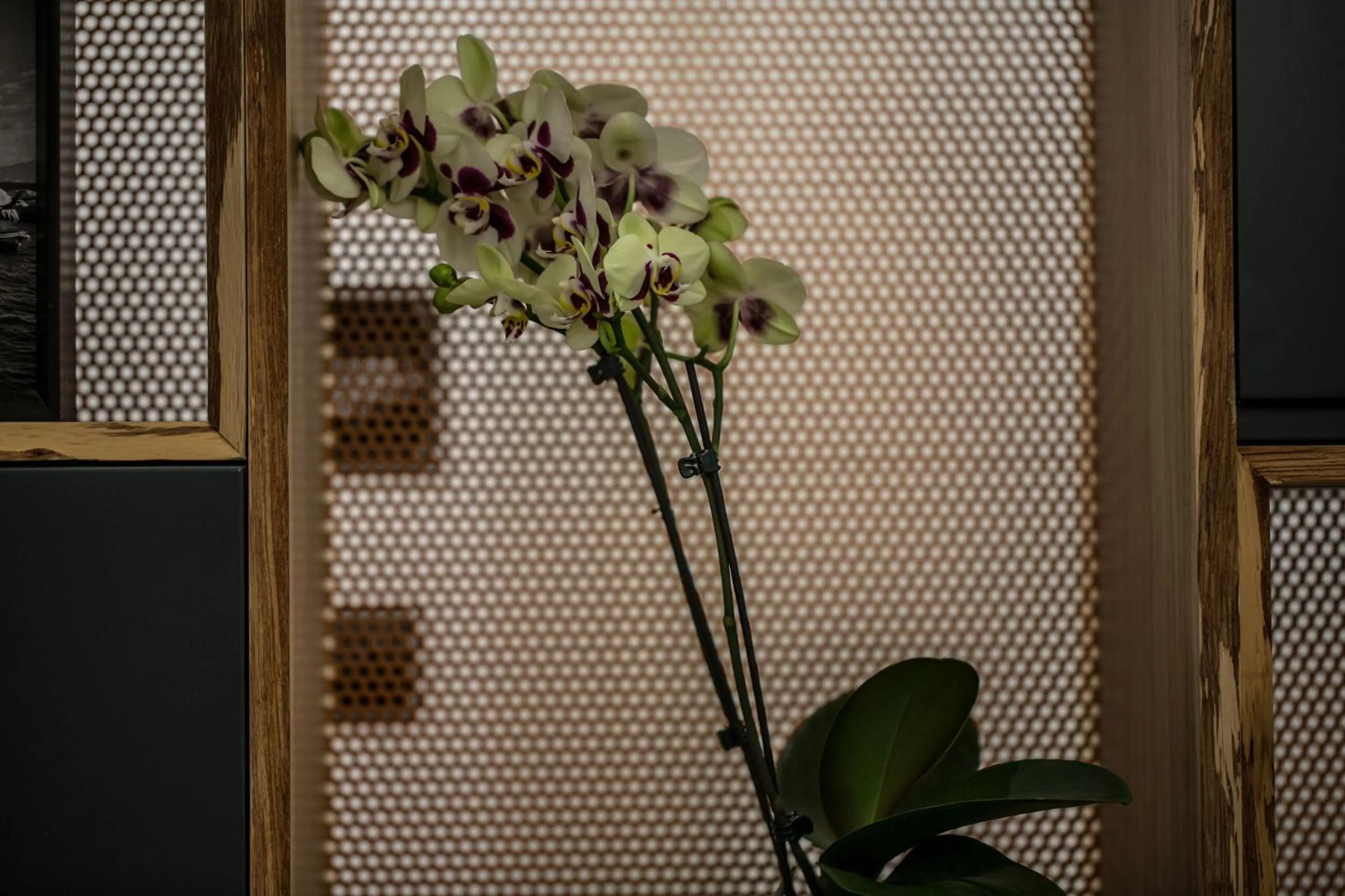 Lobby or reception in The Boutique Napoli Suite