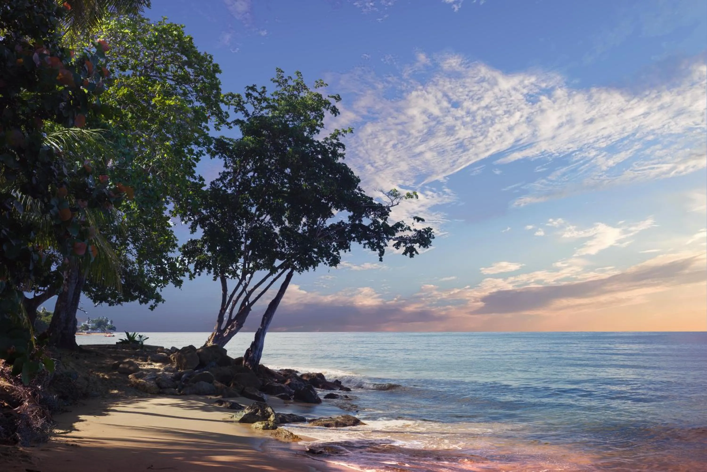 Neighbourhood in Rincon Plaza Hotel