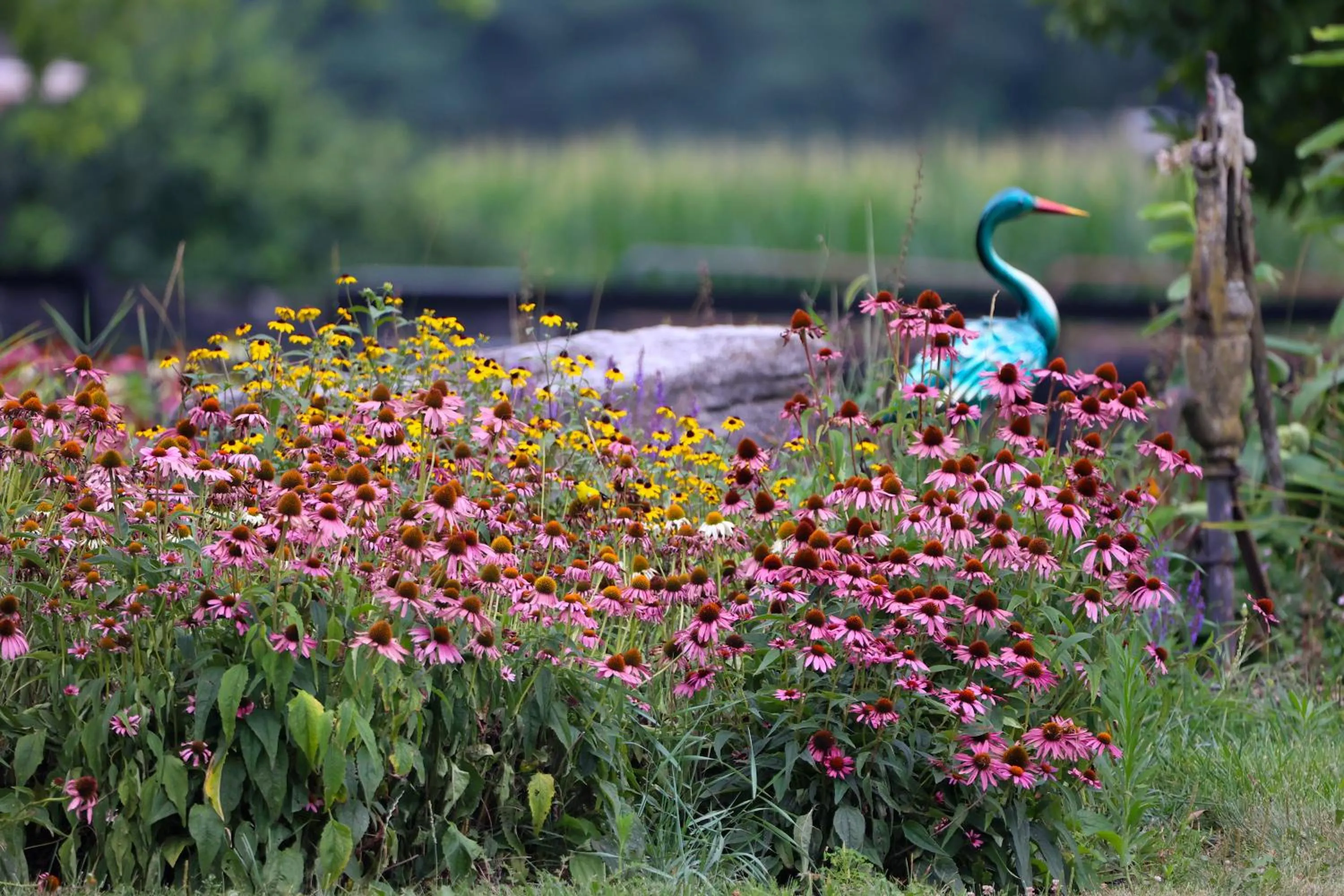 Garden in Pheasant Field Bed and Breakfast