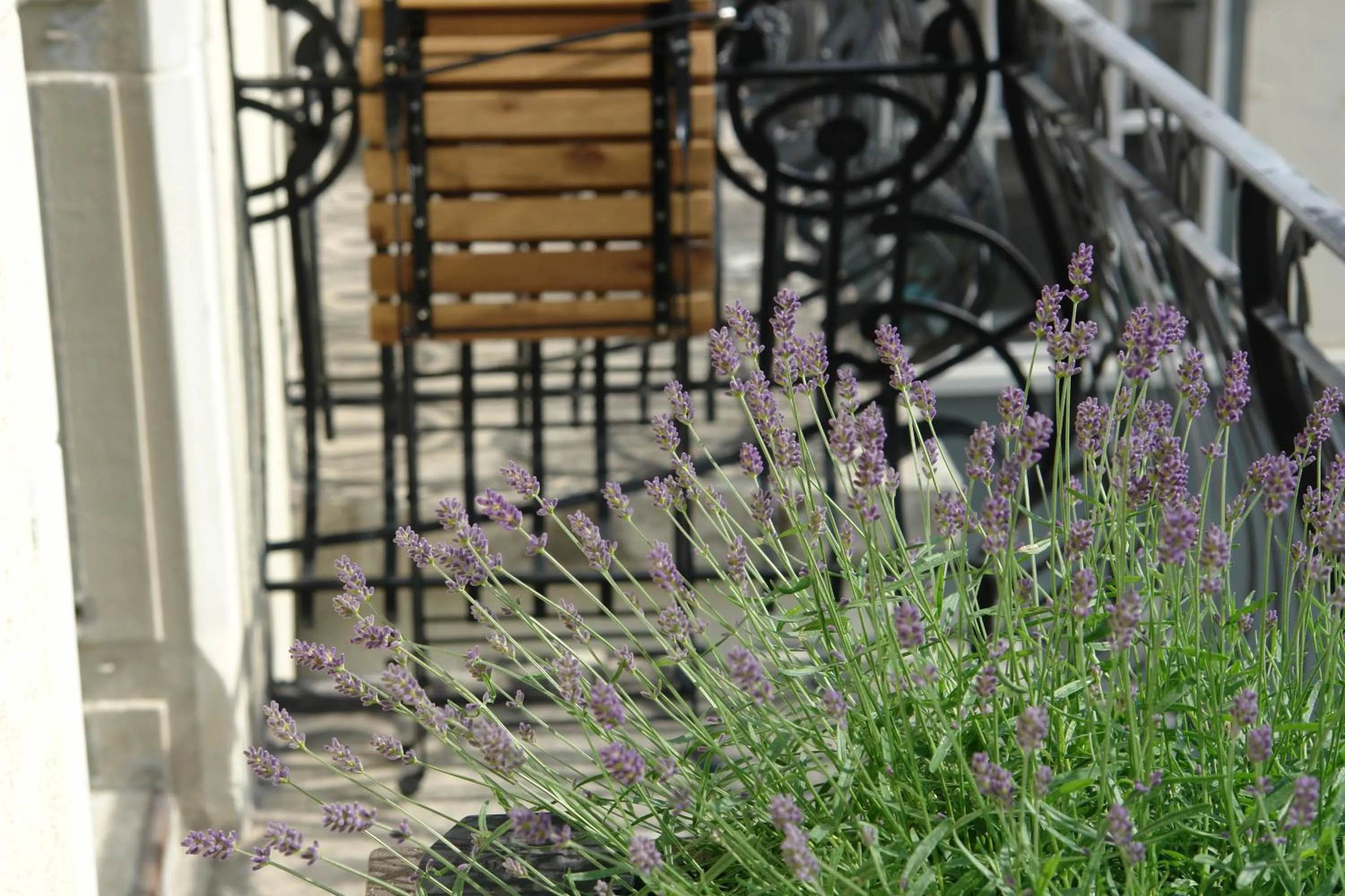 Decorative detail in Bellevue-Terminus - Urban Lifestyle Hotel