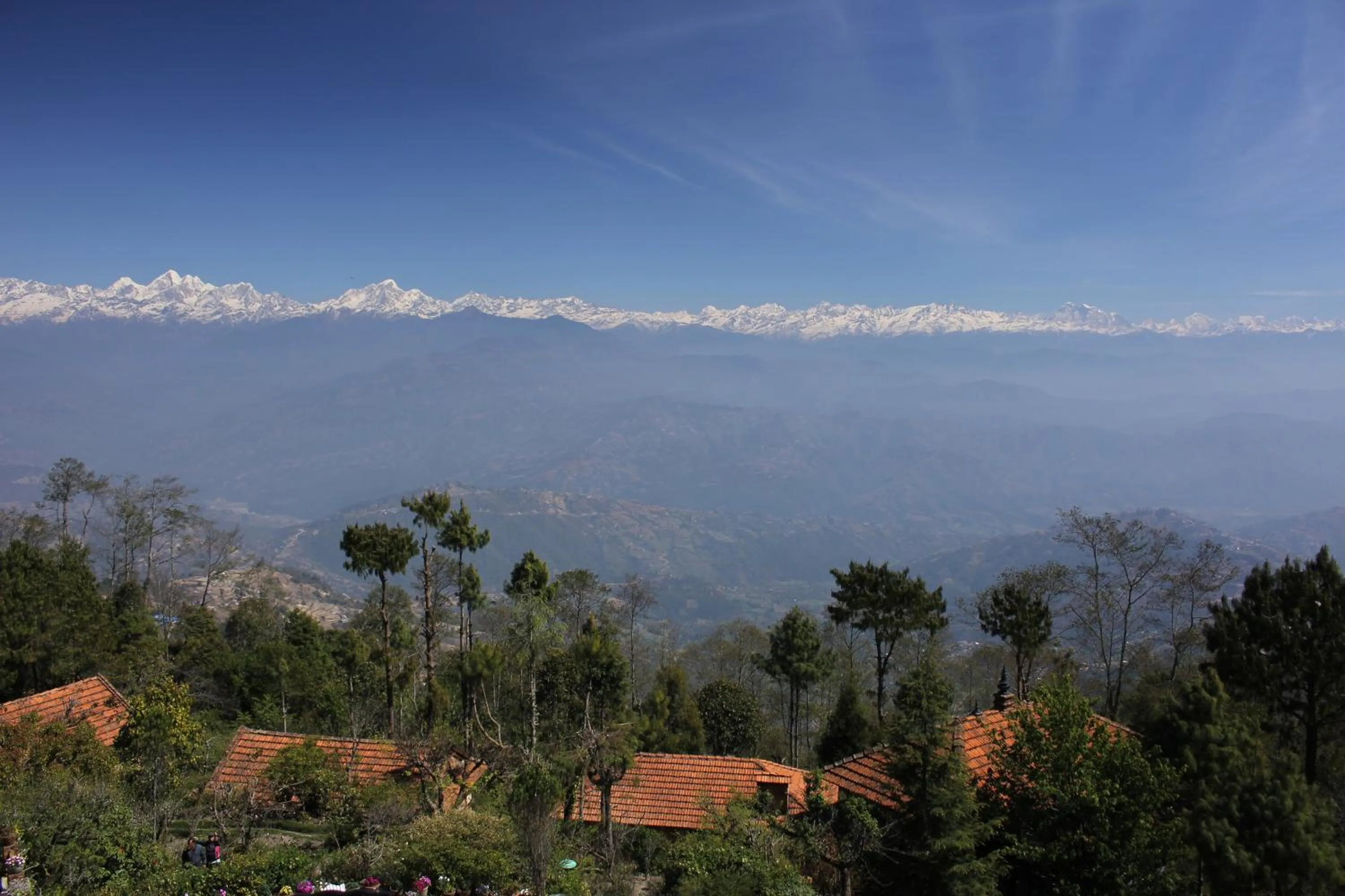 Garden in The Fort Resort